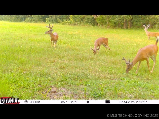 110009 N County Road 3740 Road Property Photo 54