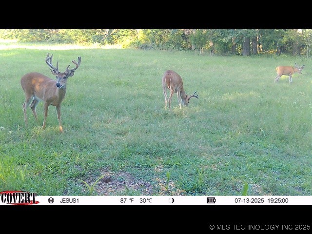 110009 N County Road 3740 Road Property Photo 55