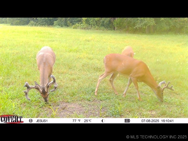 110009 N County Road 3740 Road Property Photo 56