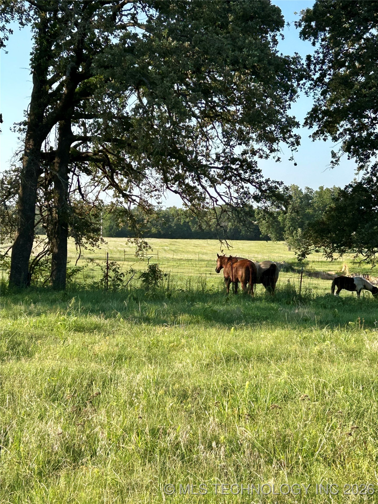 110009 N County Road 3740 Road Property Photo 57