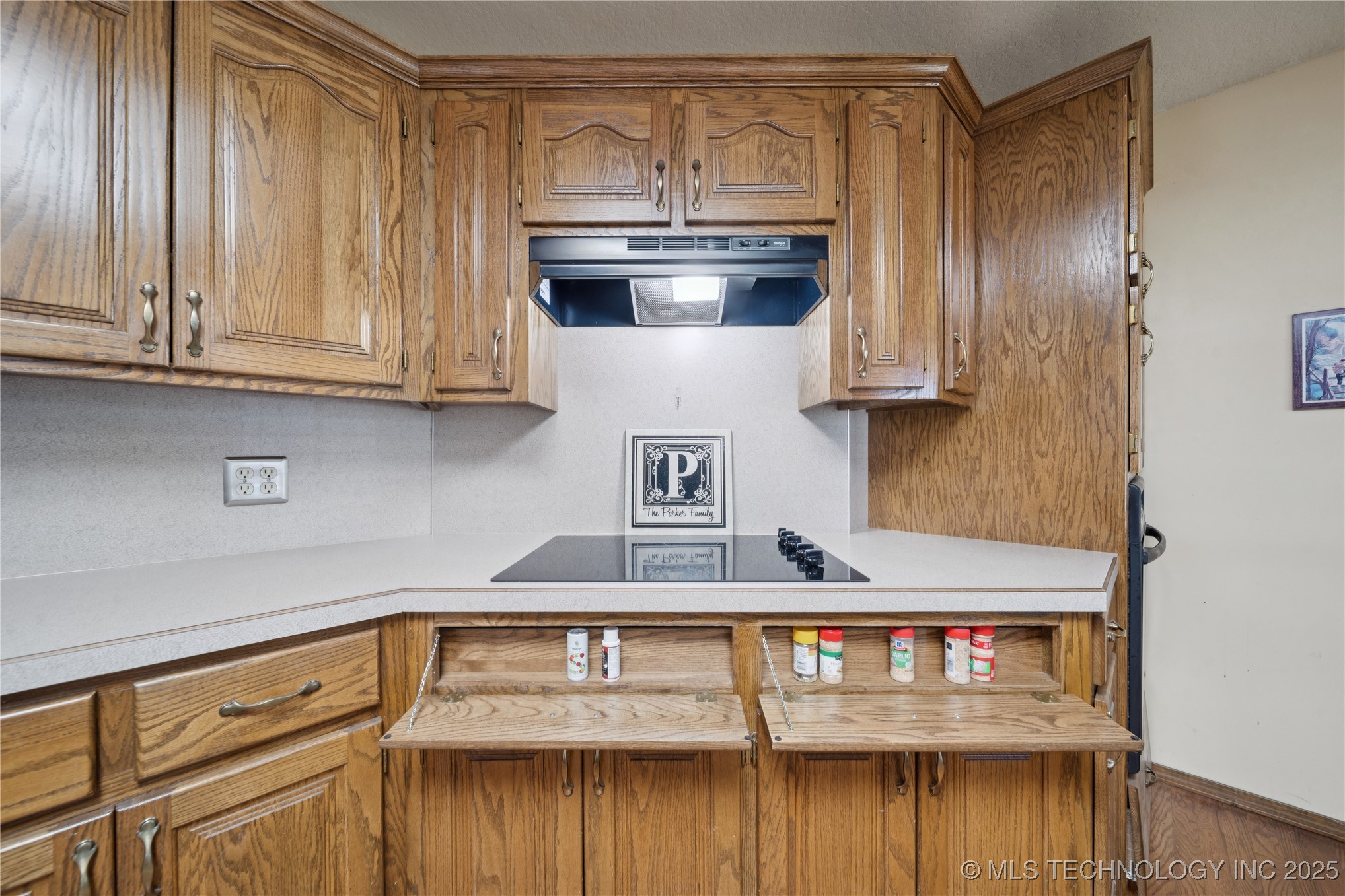 16605 S Hwy 48 Property Photo 17