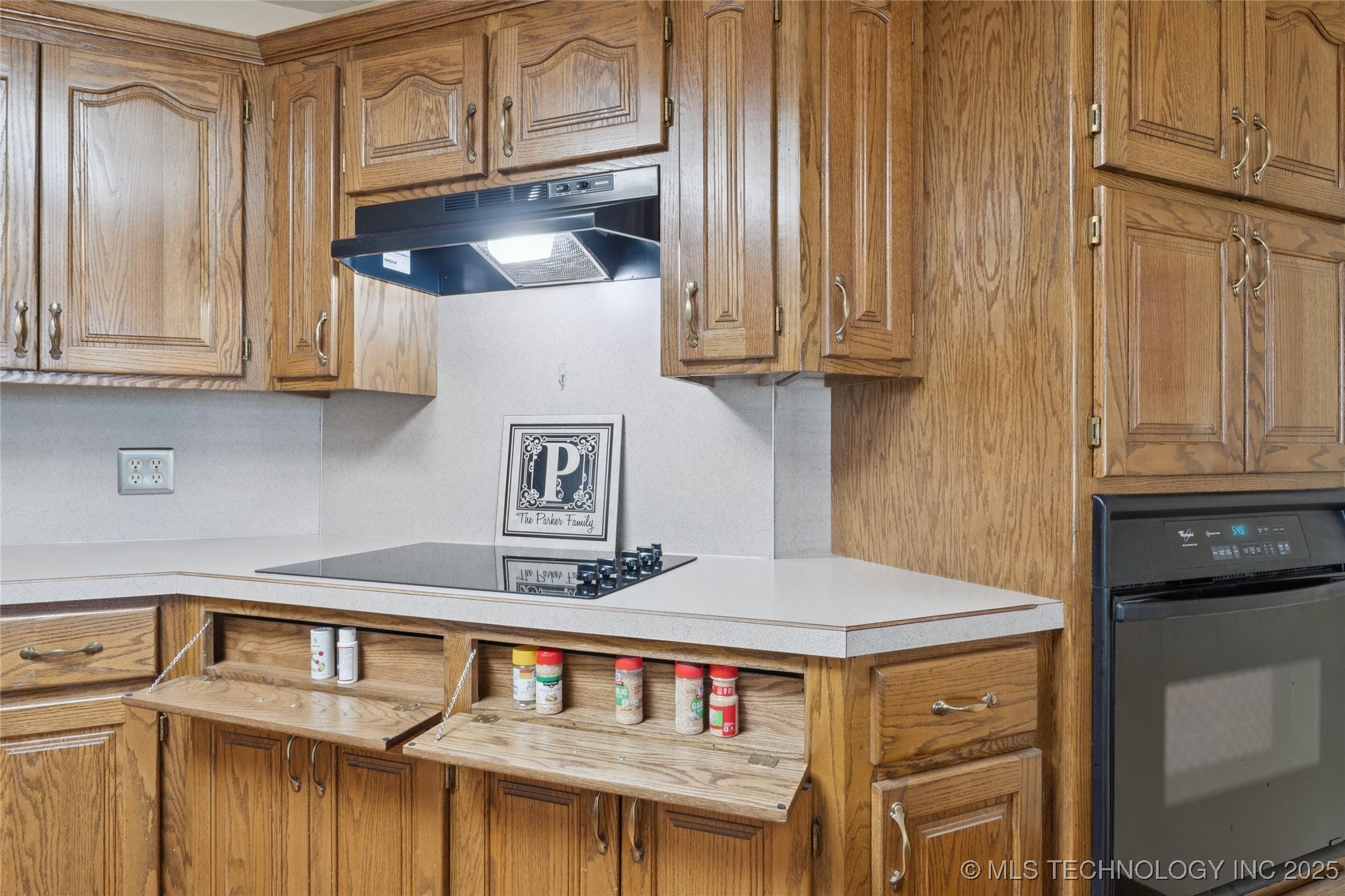 16605 S Hwy 48 Property Photo 18