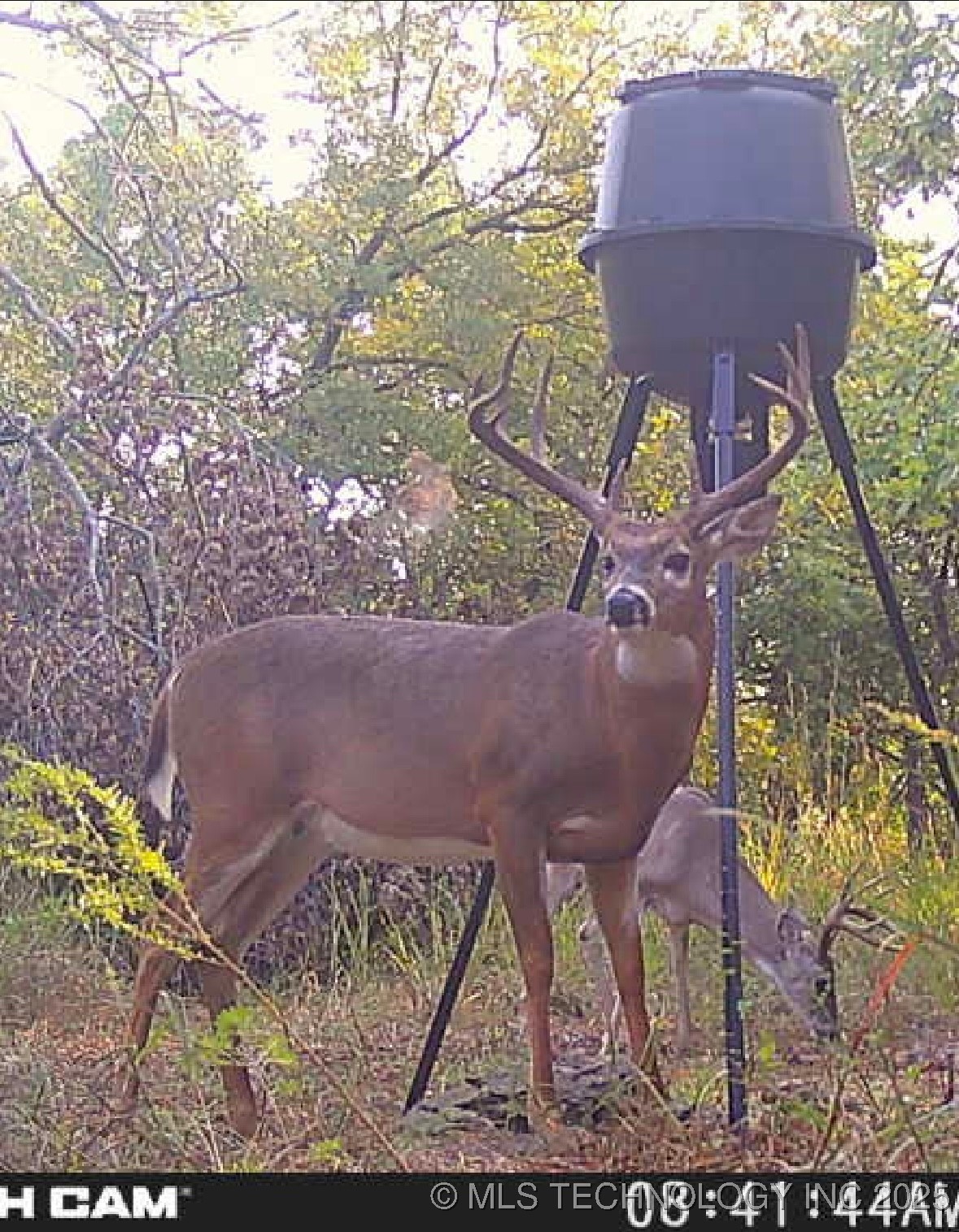 68 Hwy 11 Property Photo 5