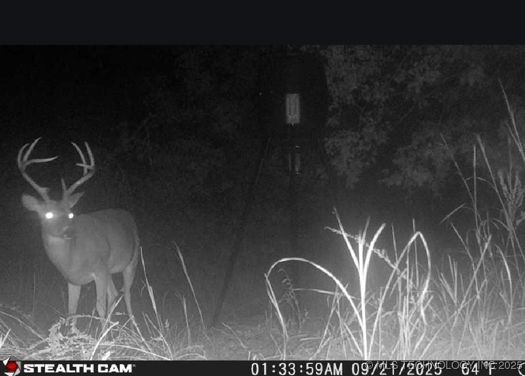 68 Hwy 11 Property Photo 29