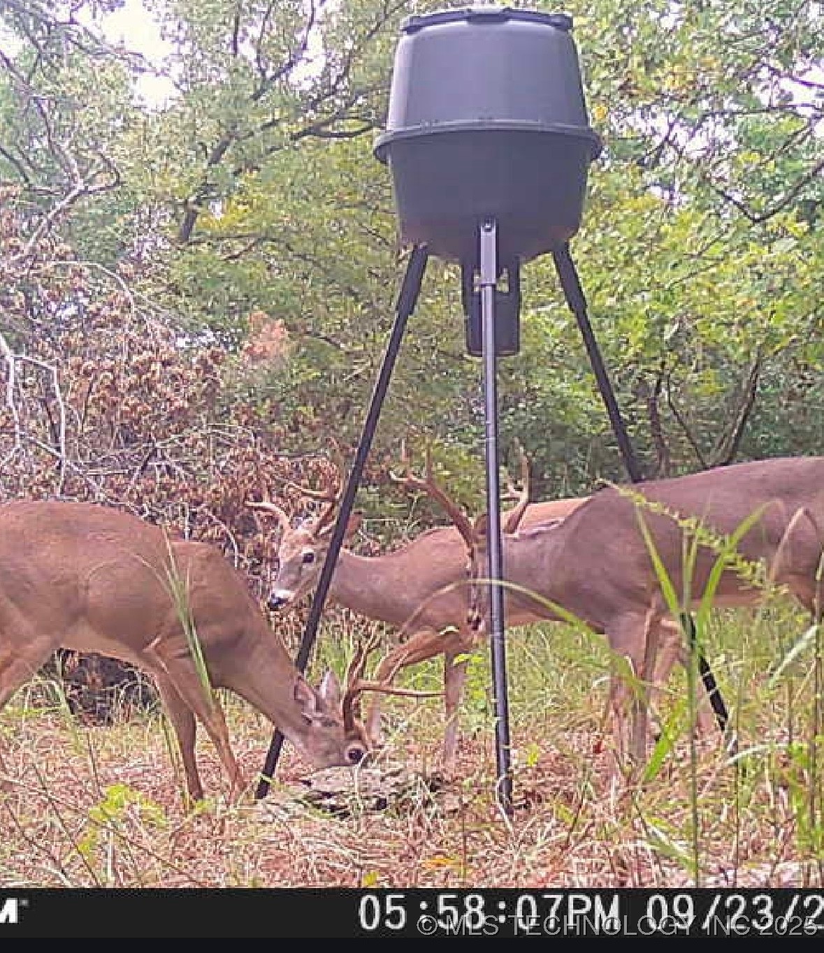 68 Hwy 11 Property Photo 34