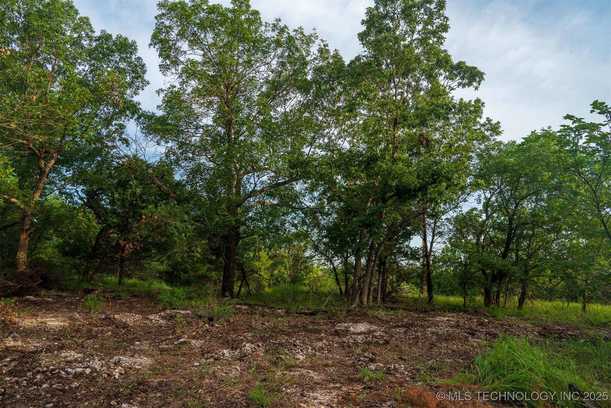 68 Hwy 11 Property Photo 59