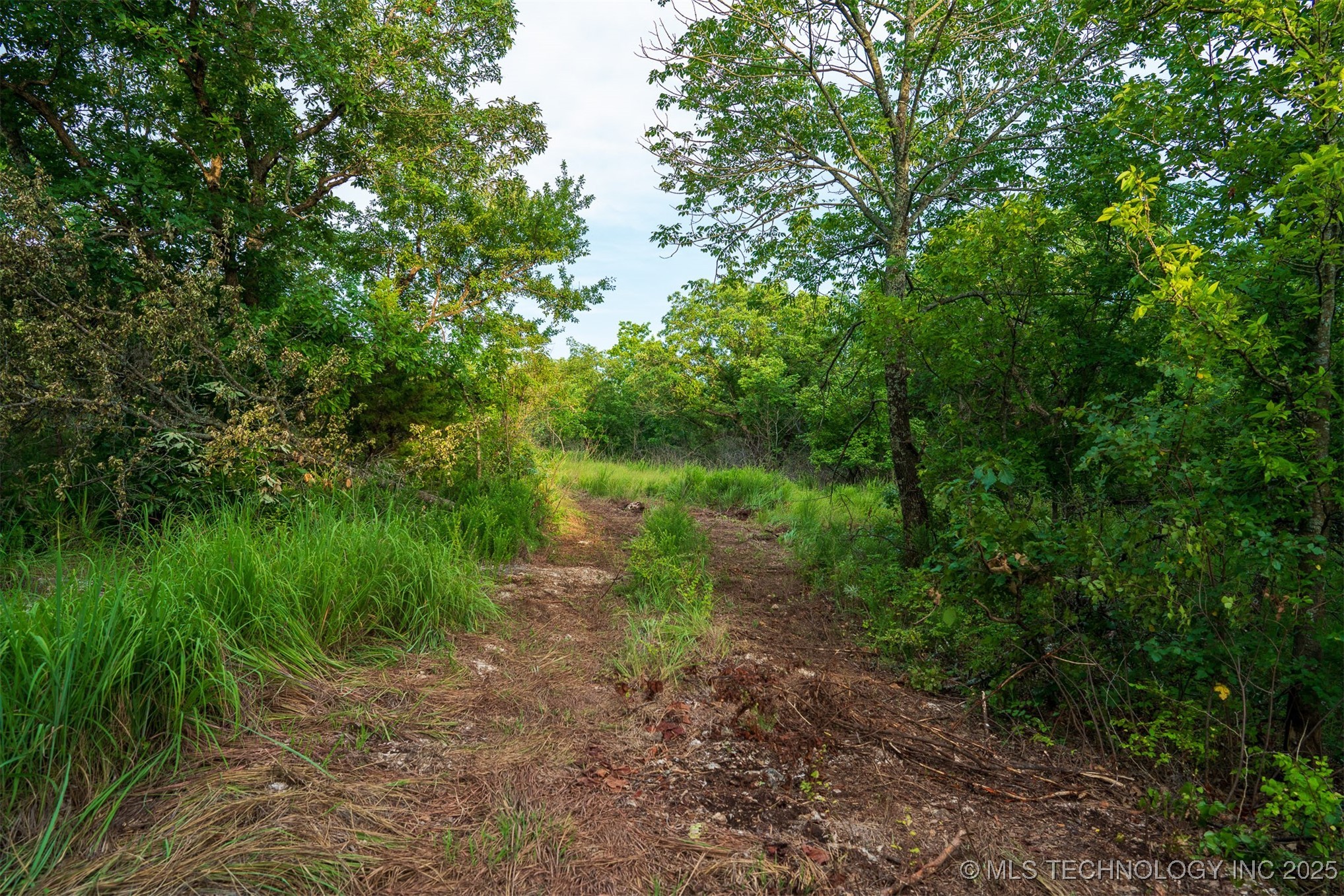 68 Hwy 11 Property Photo 61