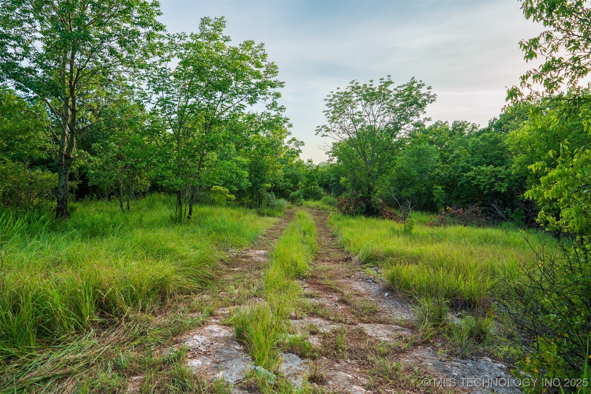 68 Hwy 11 Property Photo 63