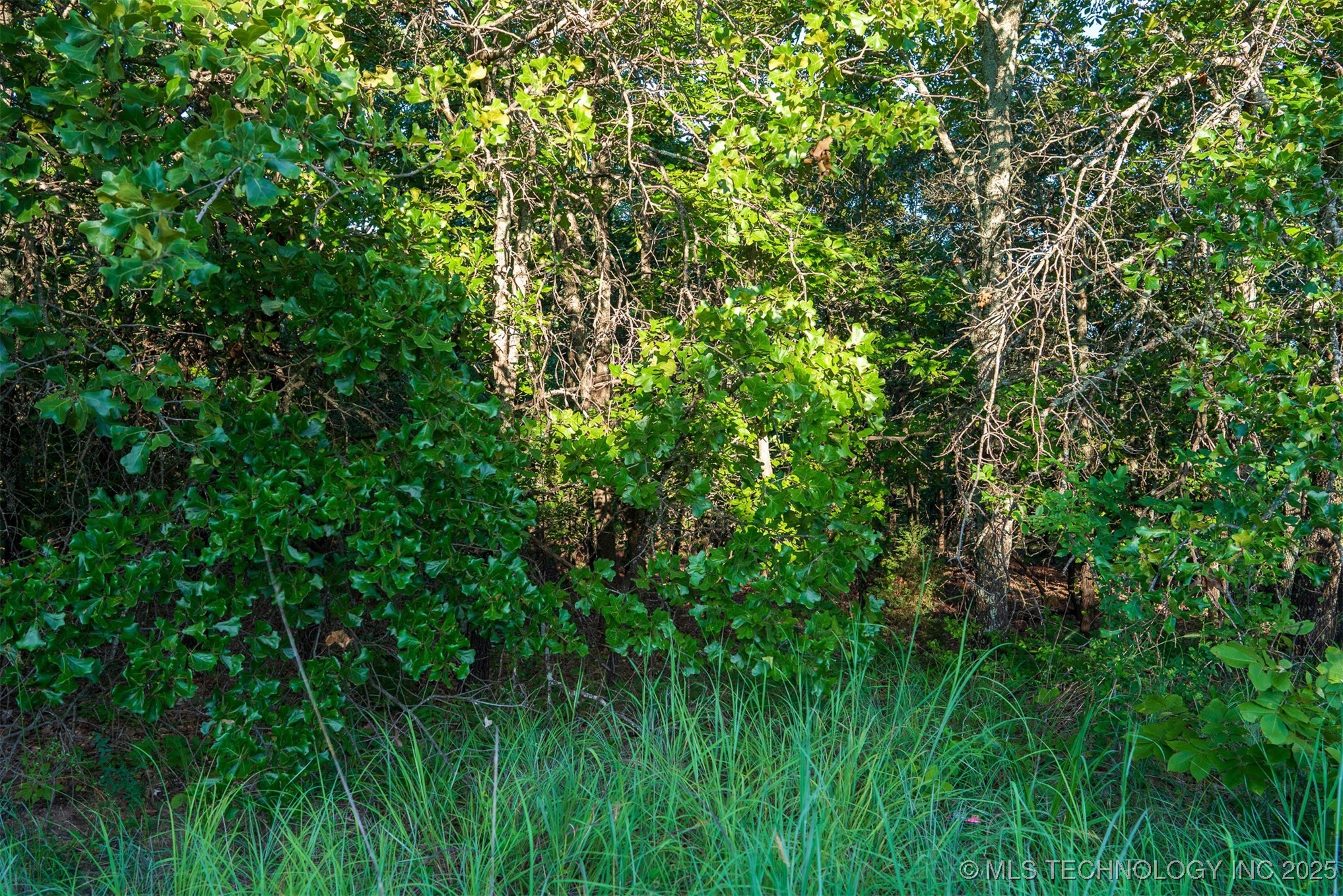 20101 S 137th East Avenue Property Photo 17