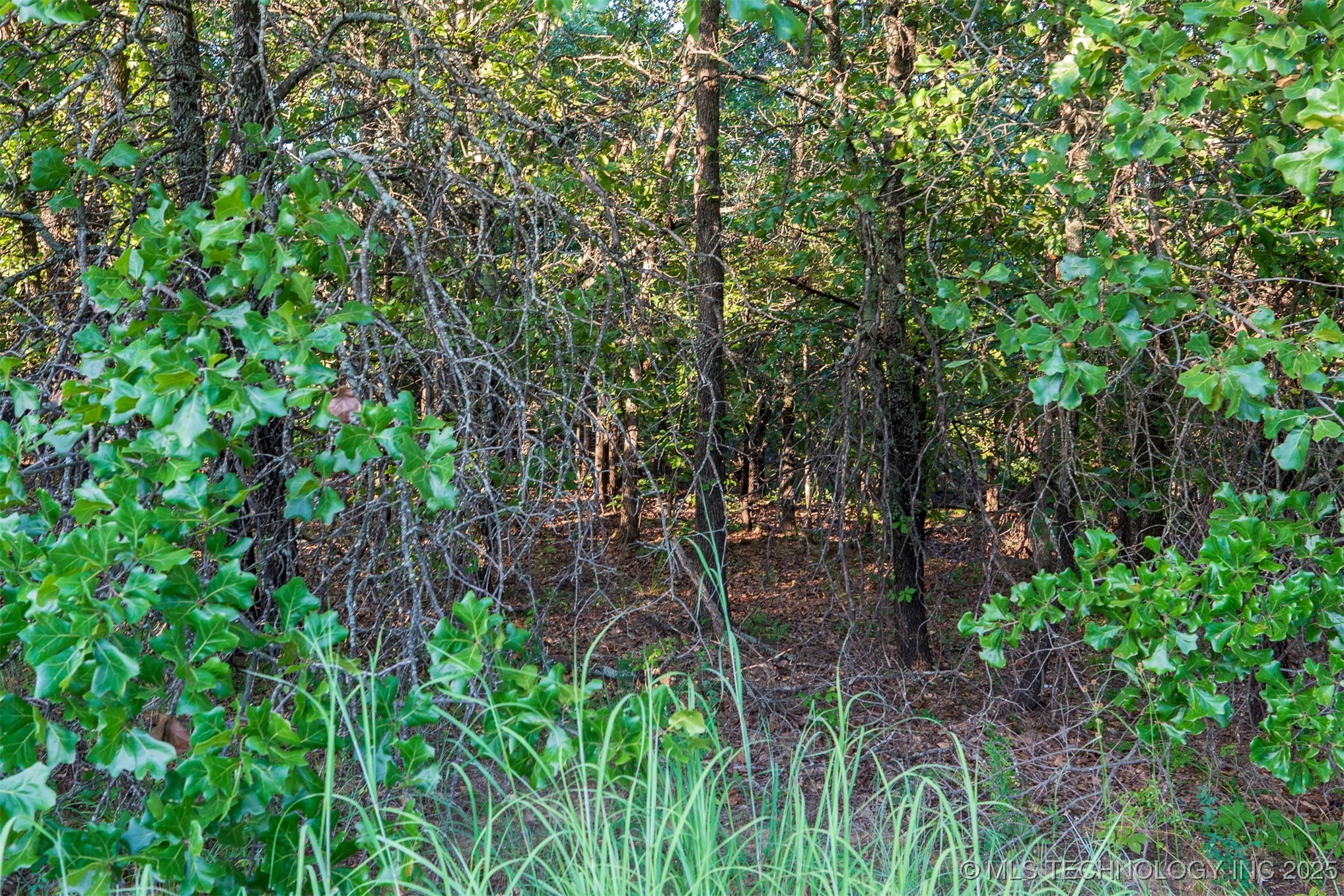 20101 S 137th East Avenue Property Photo 18