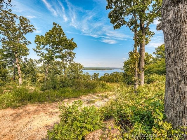 306 Stone Ridge Road Property Photo 3