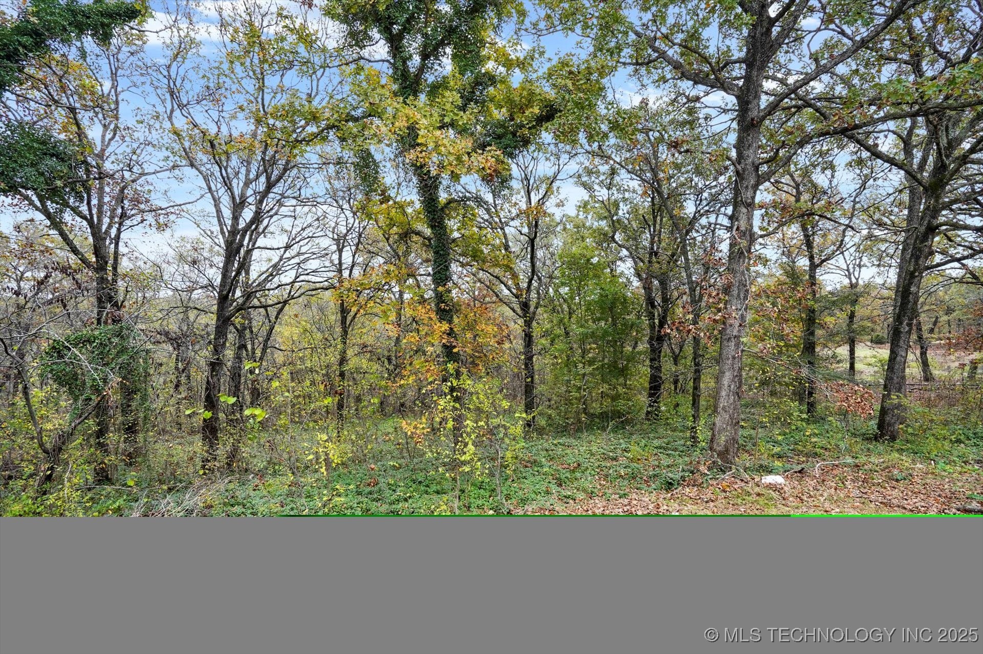 17915 S 128th Court Property Photo 36