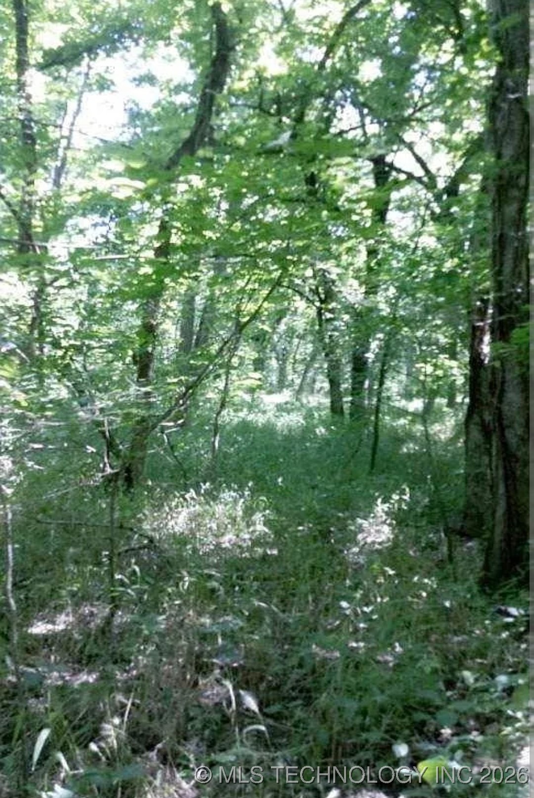 214th Street West Property Photo 8