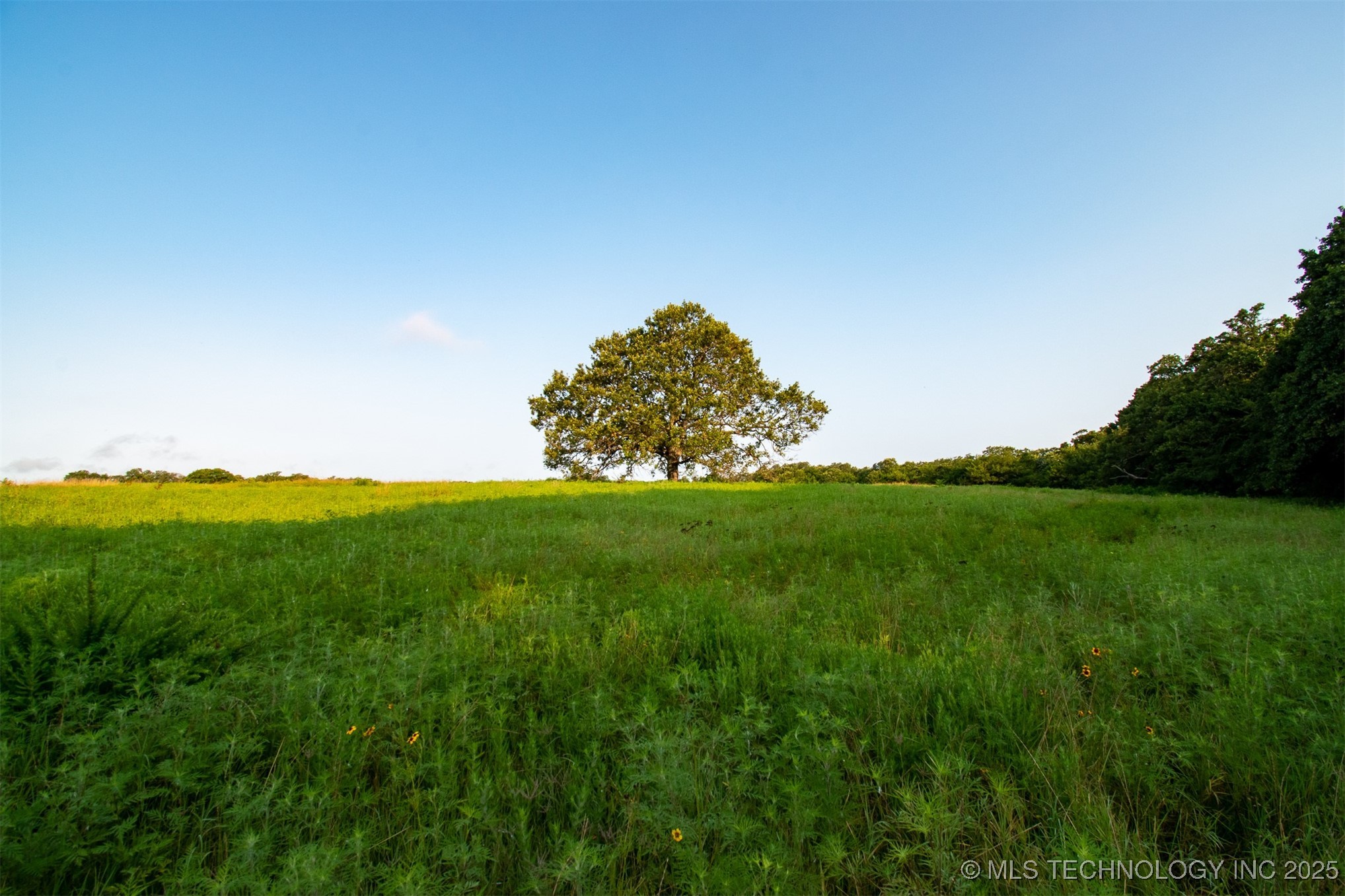 0000 N 4040 Road Property Photo 45