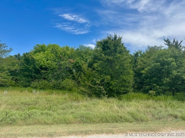 6739 Bobbie Little Property Photo 1