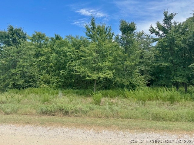 6739 Bobbie Little Property Photo 2