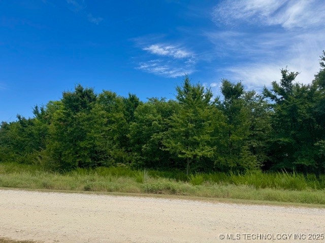 6739 Bobbie Little Property Photo 3