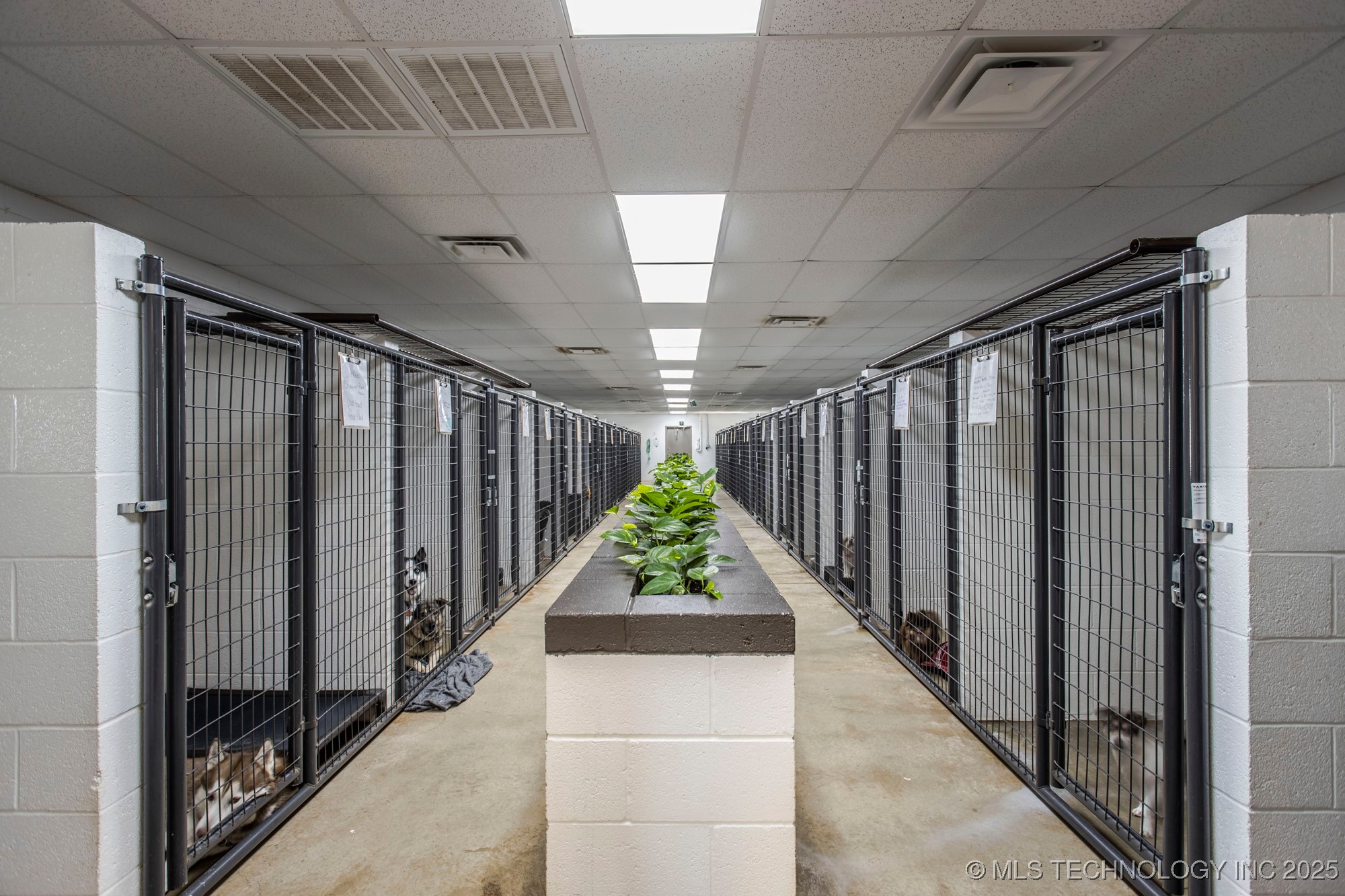 39812 Hazel Dell Road Property Photo 17