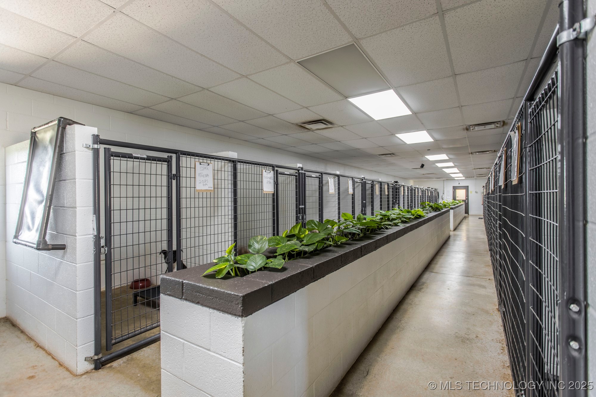 39812 Hazel Dell Road Property Photo 18