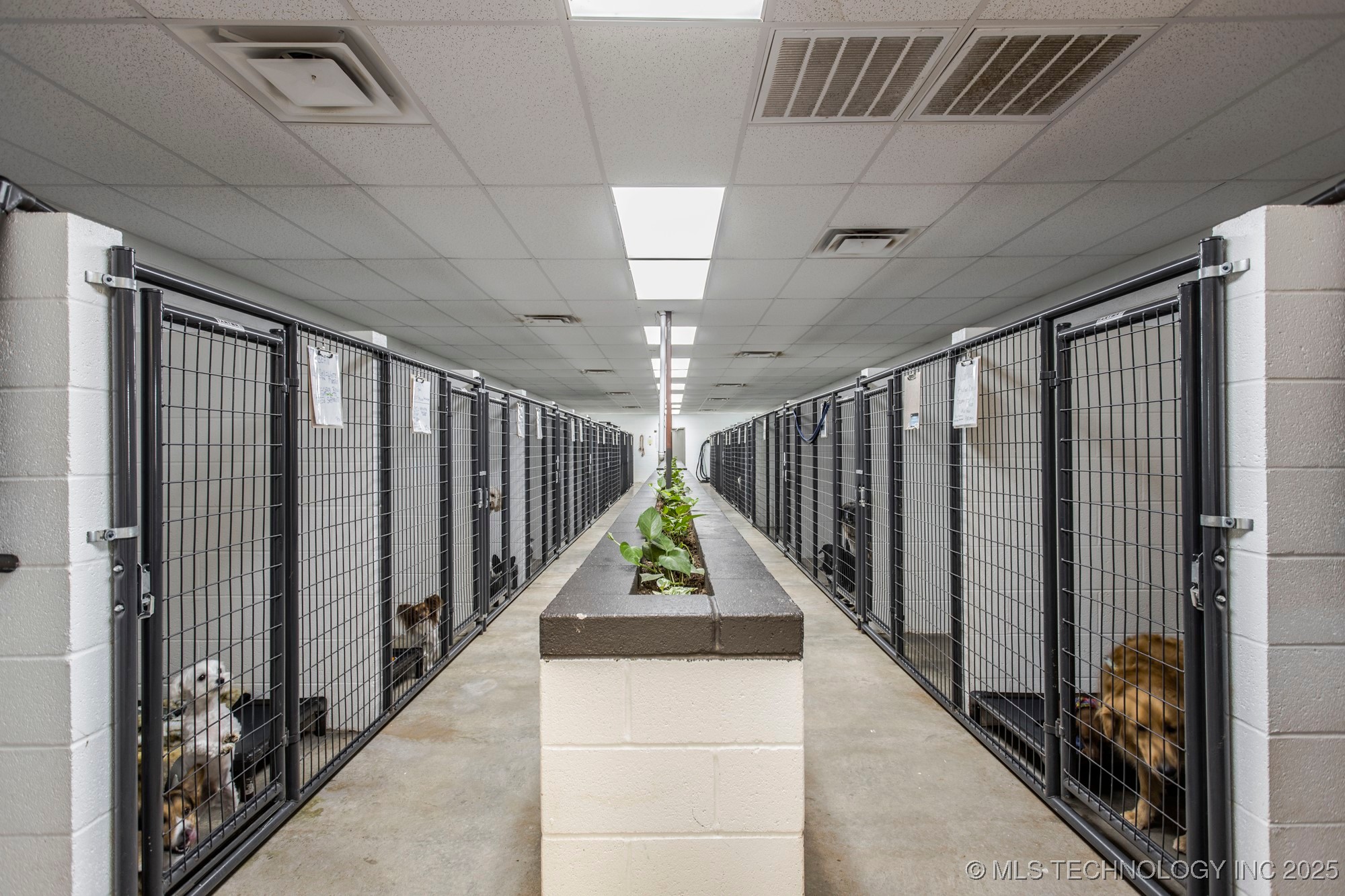 39812 Hazel Dell Road Property Photo 20