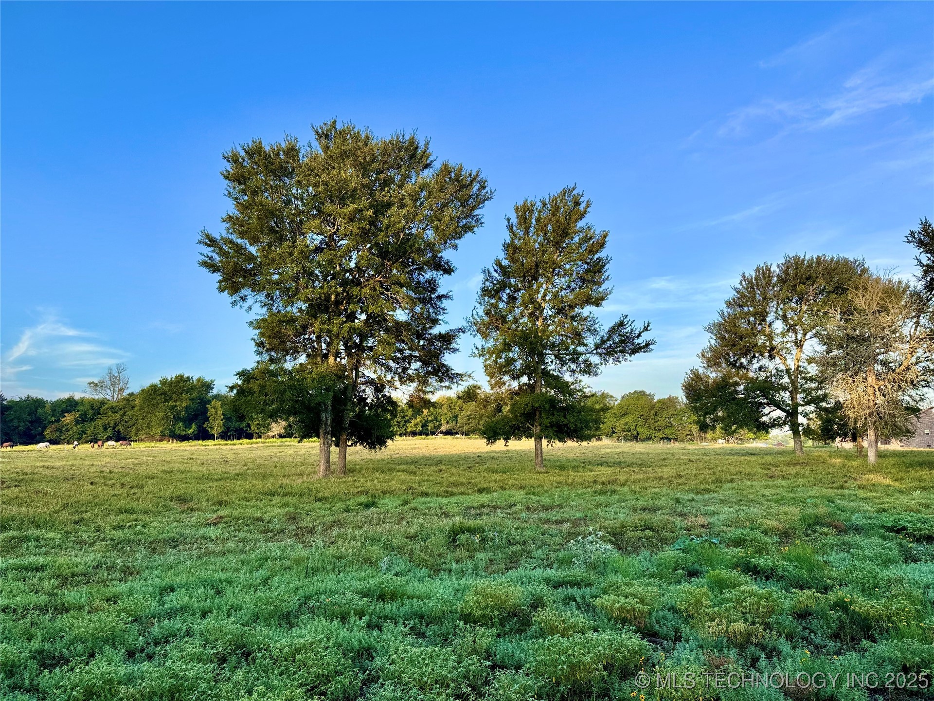 Deer Run Property Photo 6