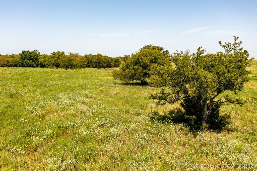 10692 Old Willis Road Property Photo 12