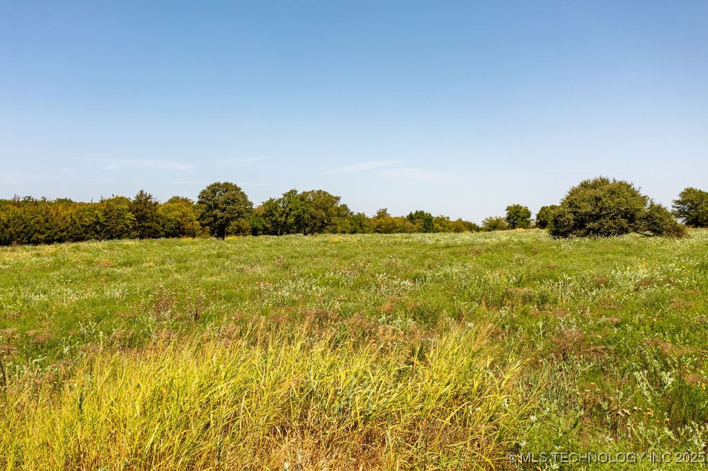 10692 Old Willis Road Property Photo 14