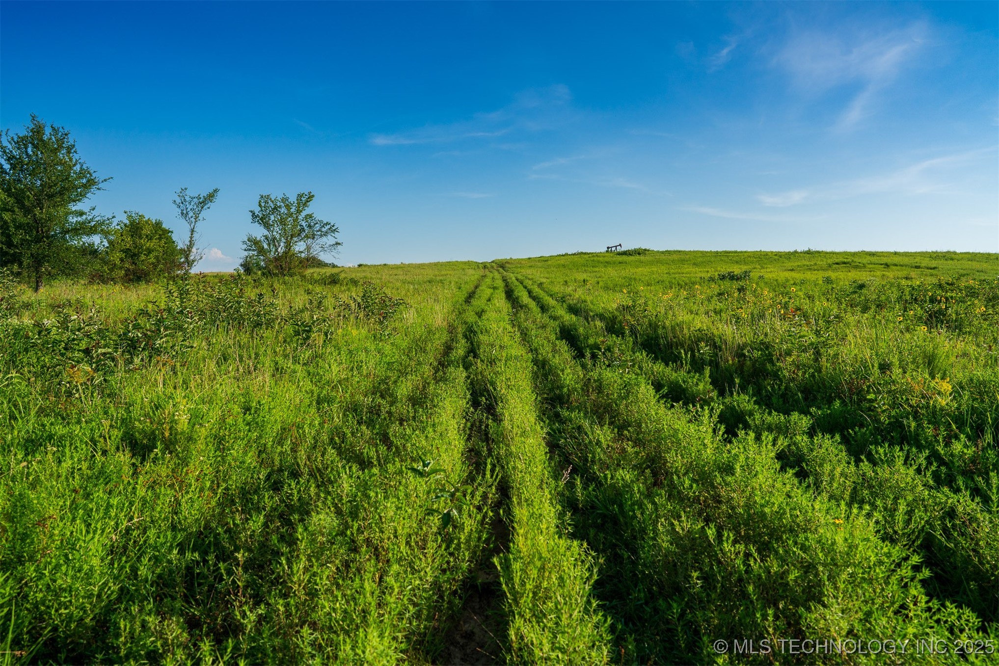 321 Hwy 16 Property Photo 45