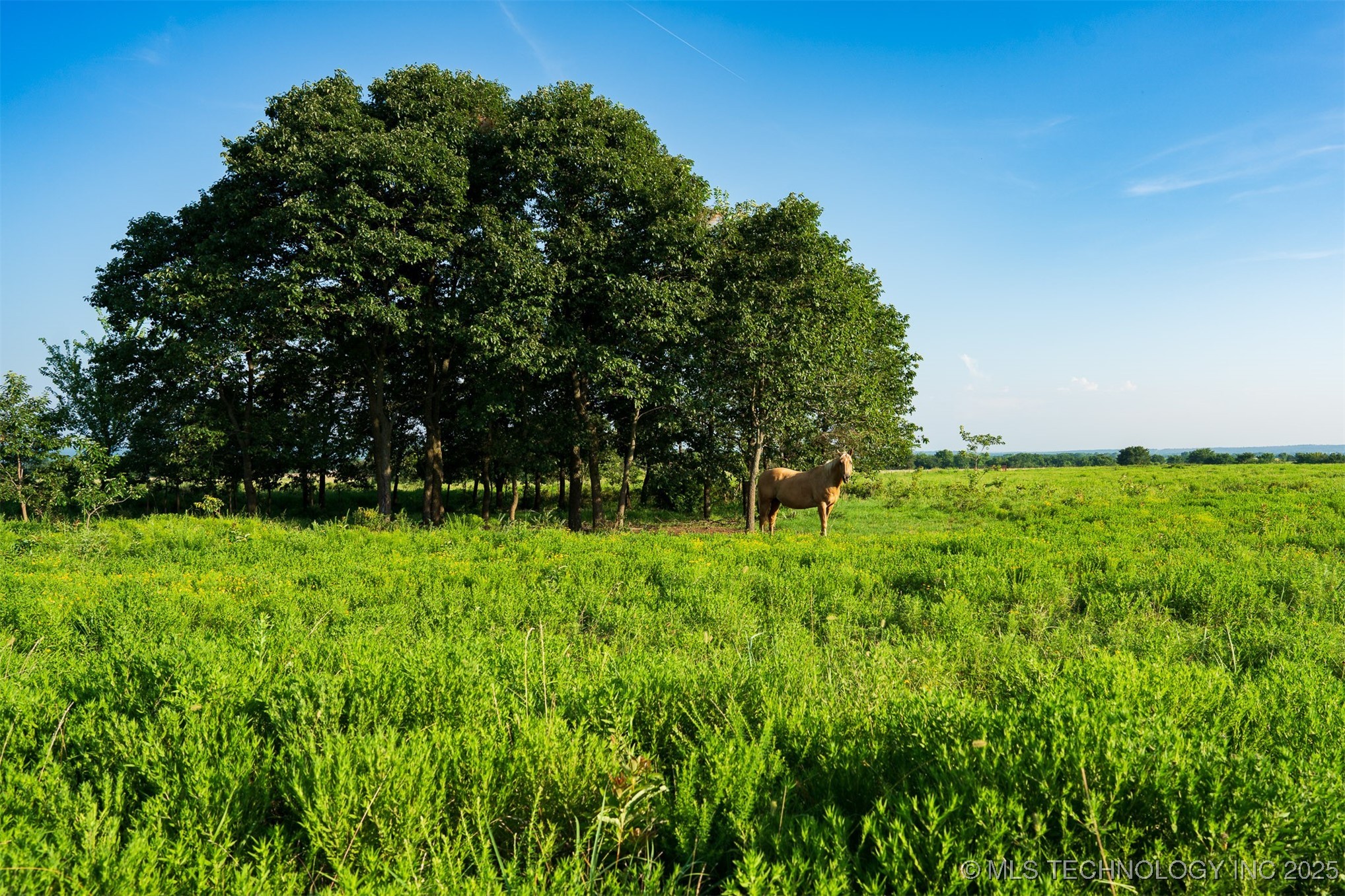 321 Hwy 16 Property Photo 54