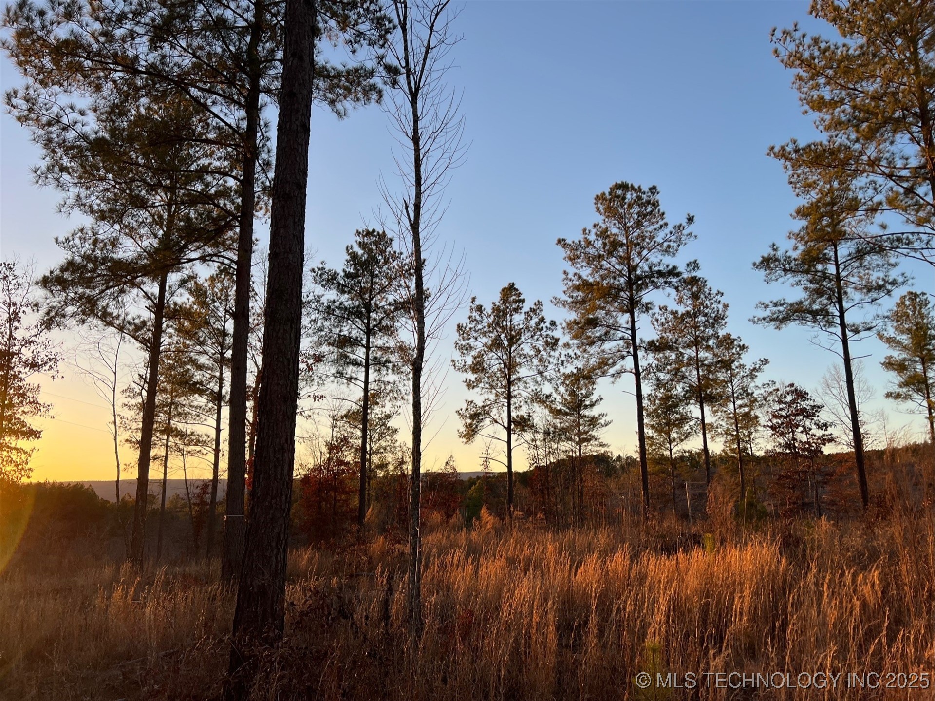 1 Riverside Property Photo 6