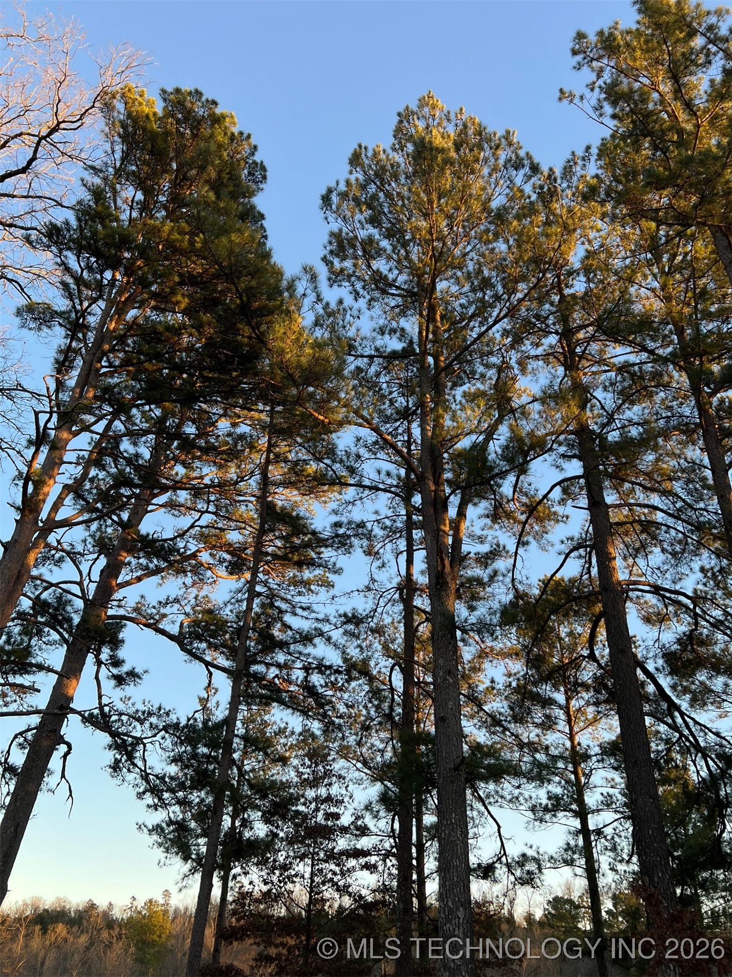 1 Riverside Property Photo 8