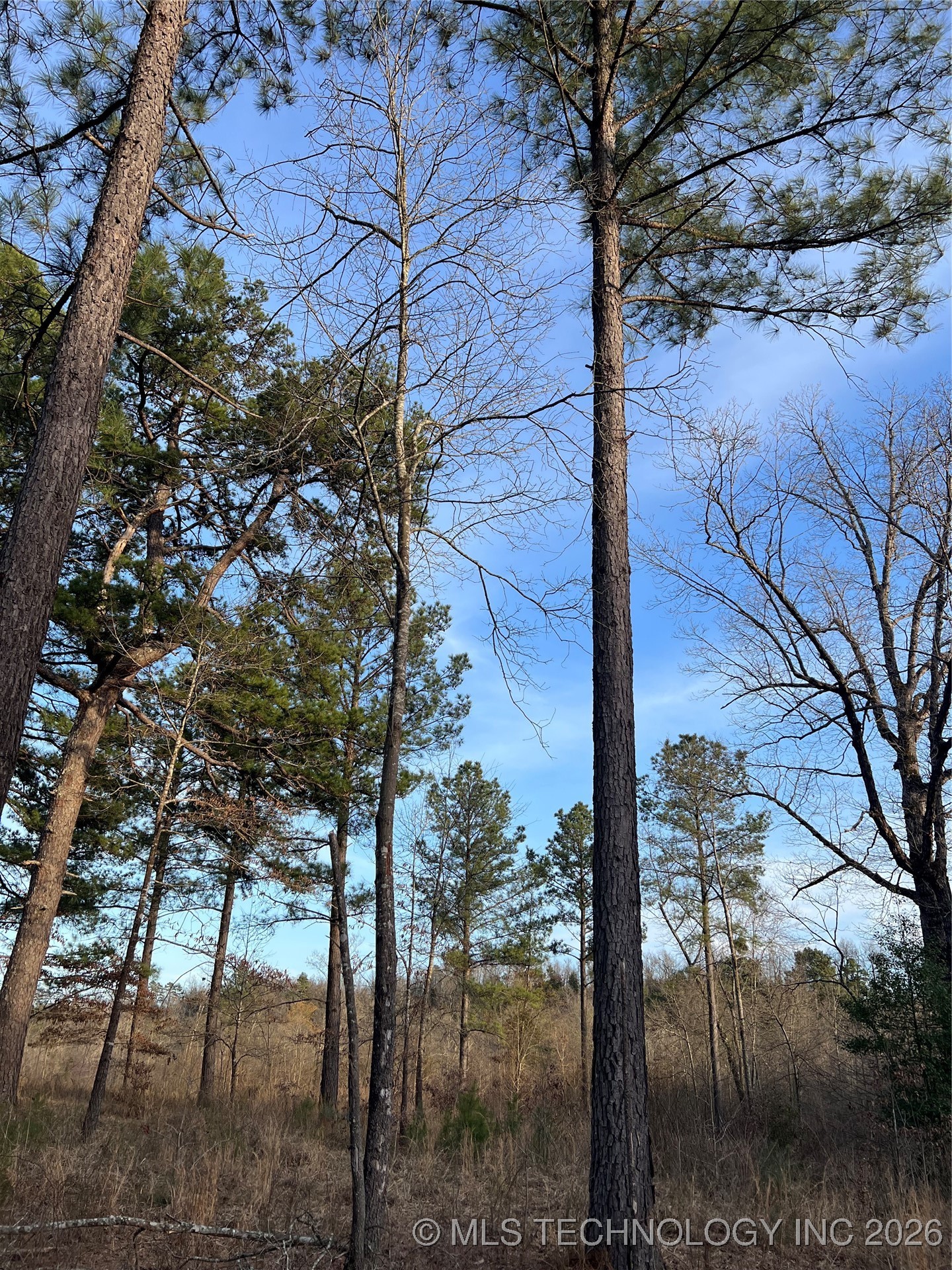 1 Riverside Property Photo 21