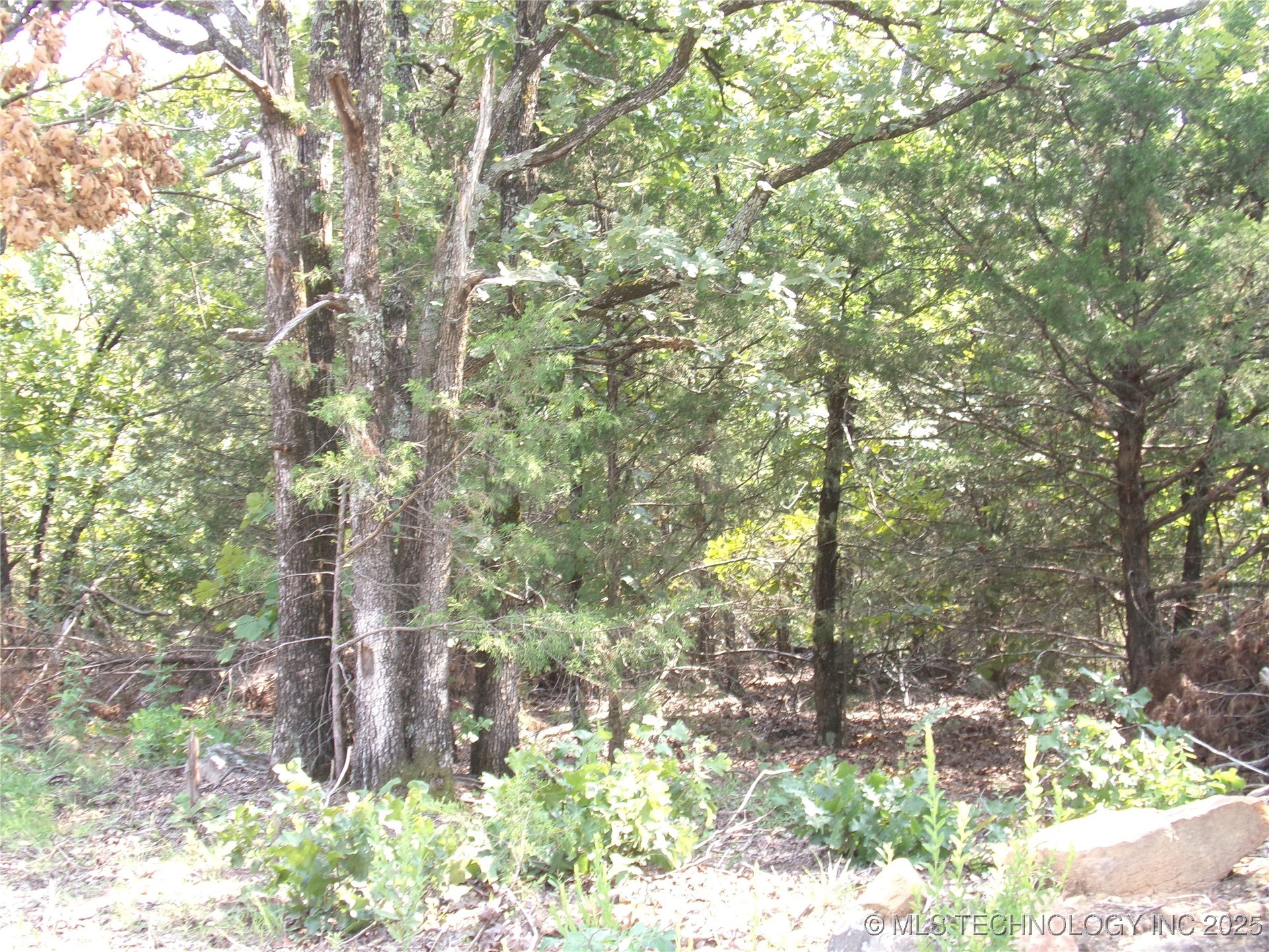 Bus Loop Road Property Photo 2