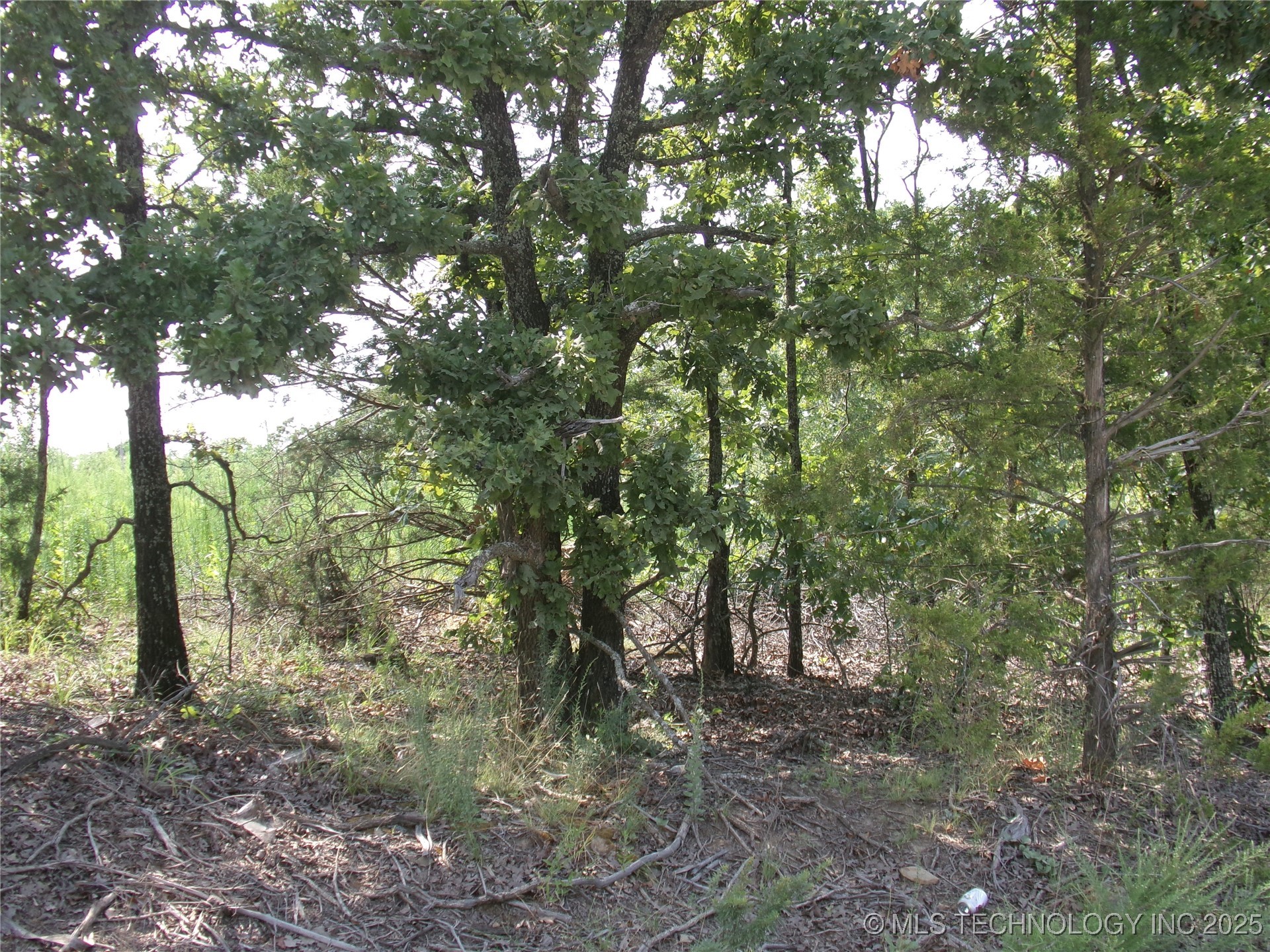 N 4230 Road Property Photo 2