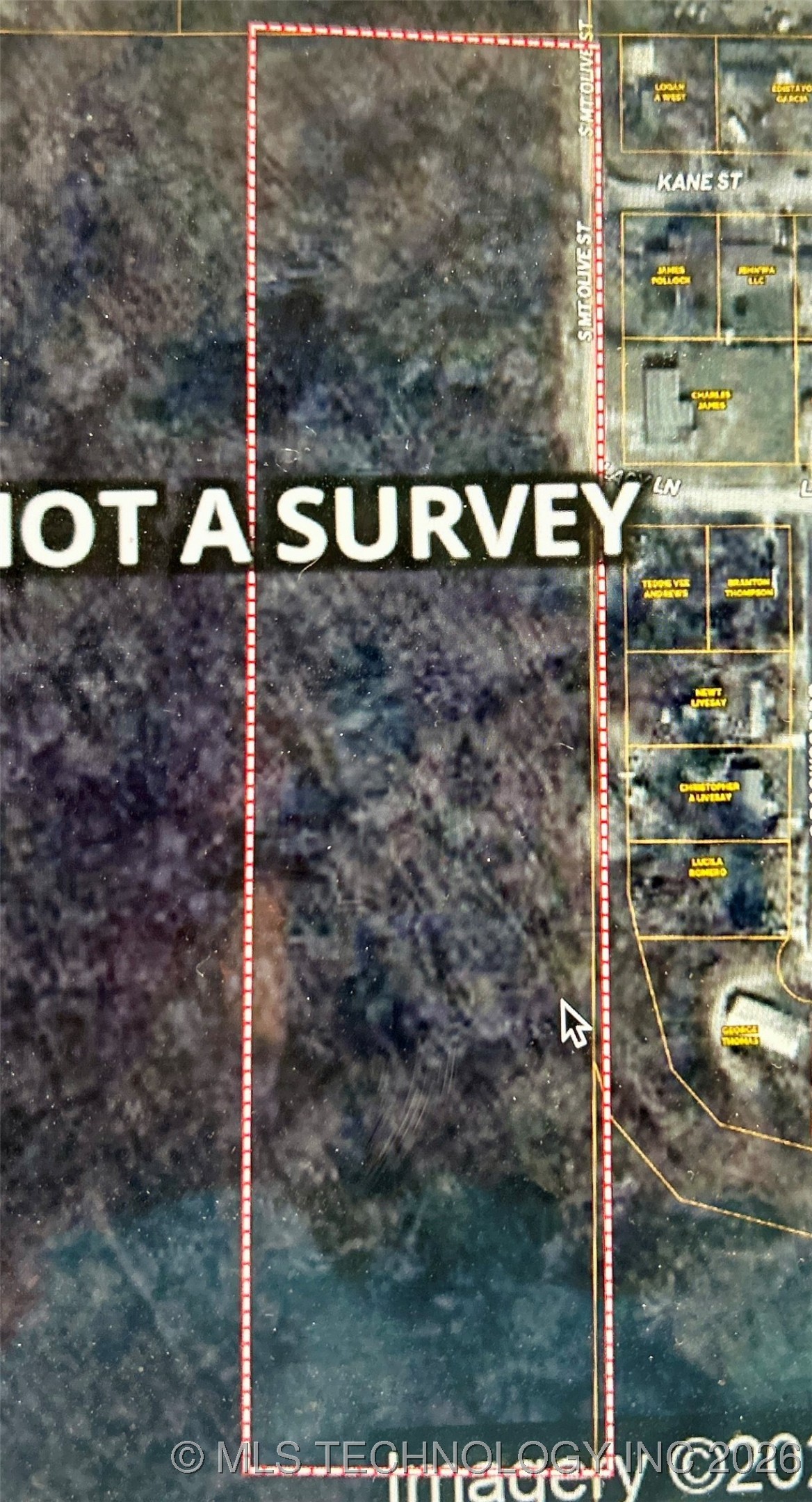 S Mount Olive Street Property Photo 1