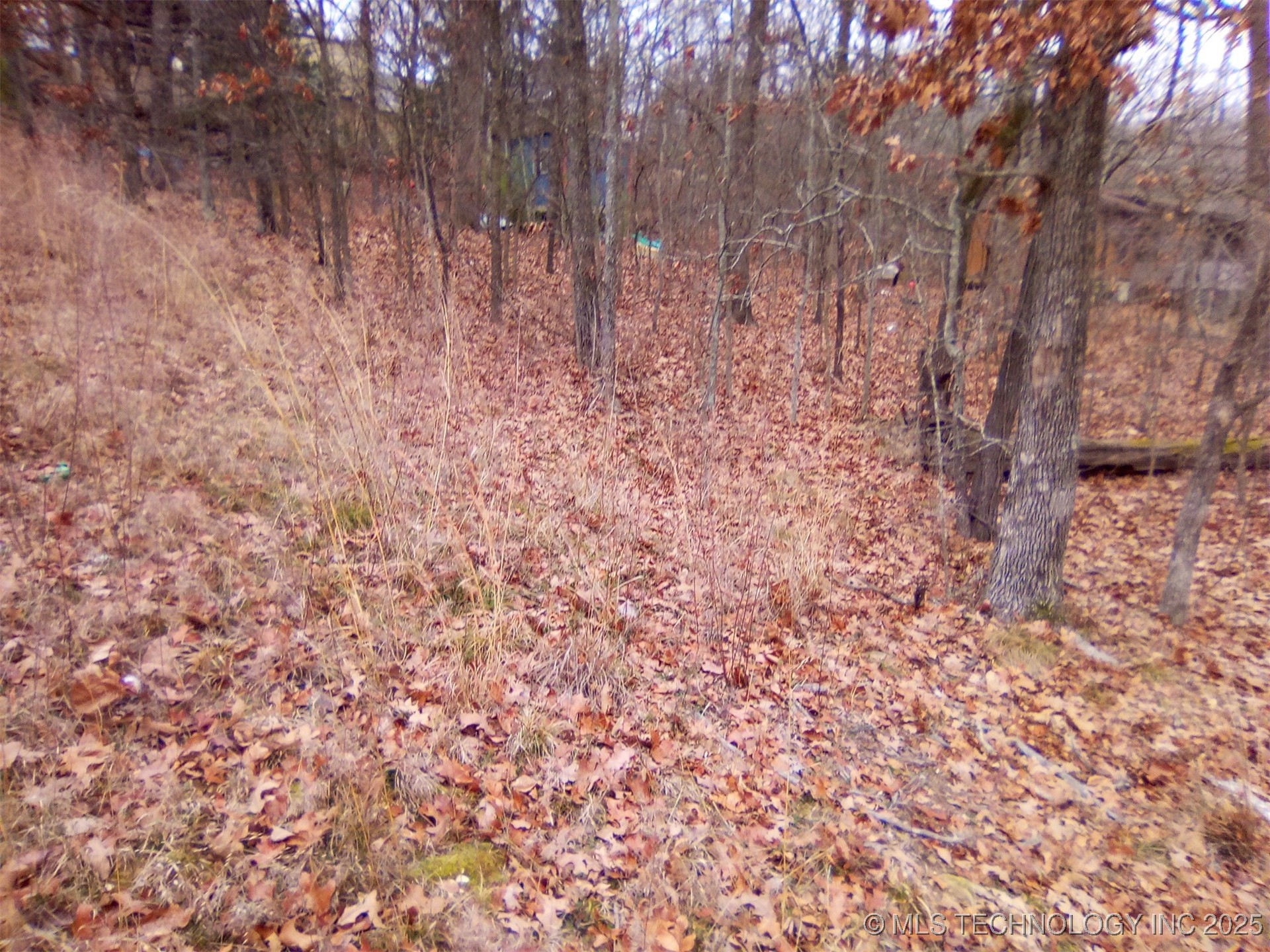 S Maple Drive Property Photo 13