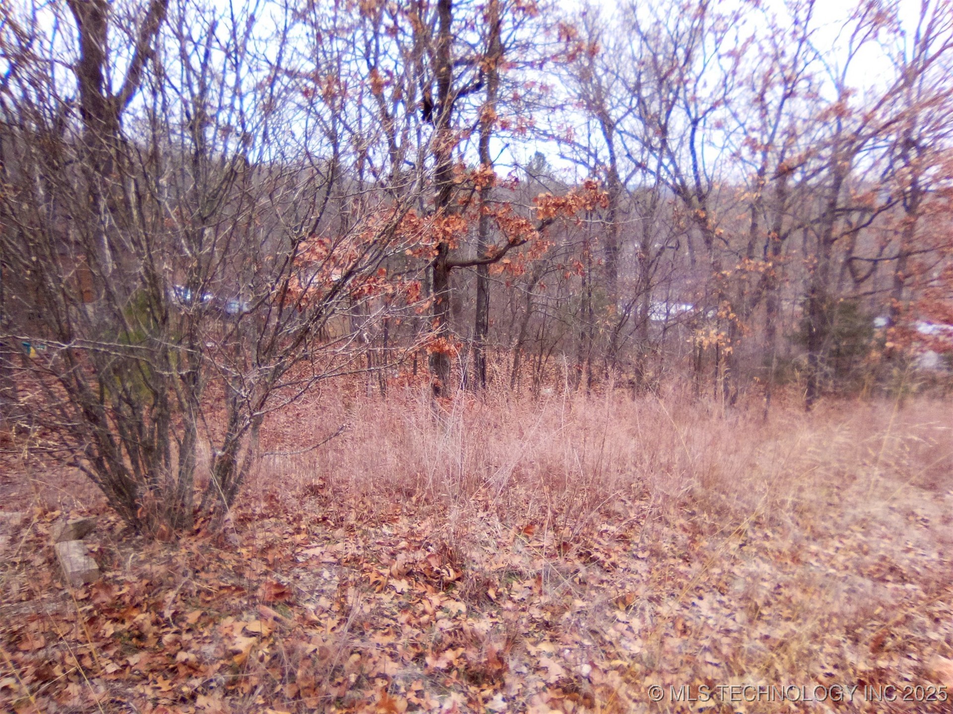 S Maple Drive Property Photo 14