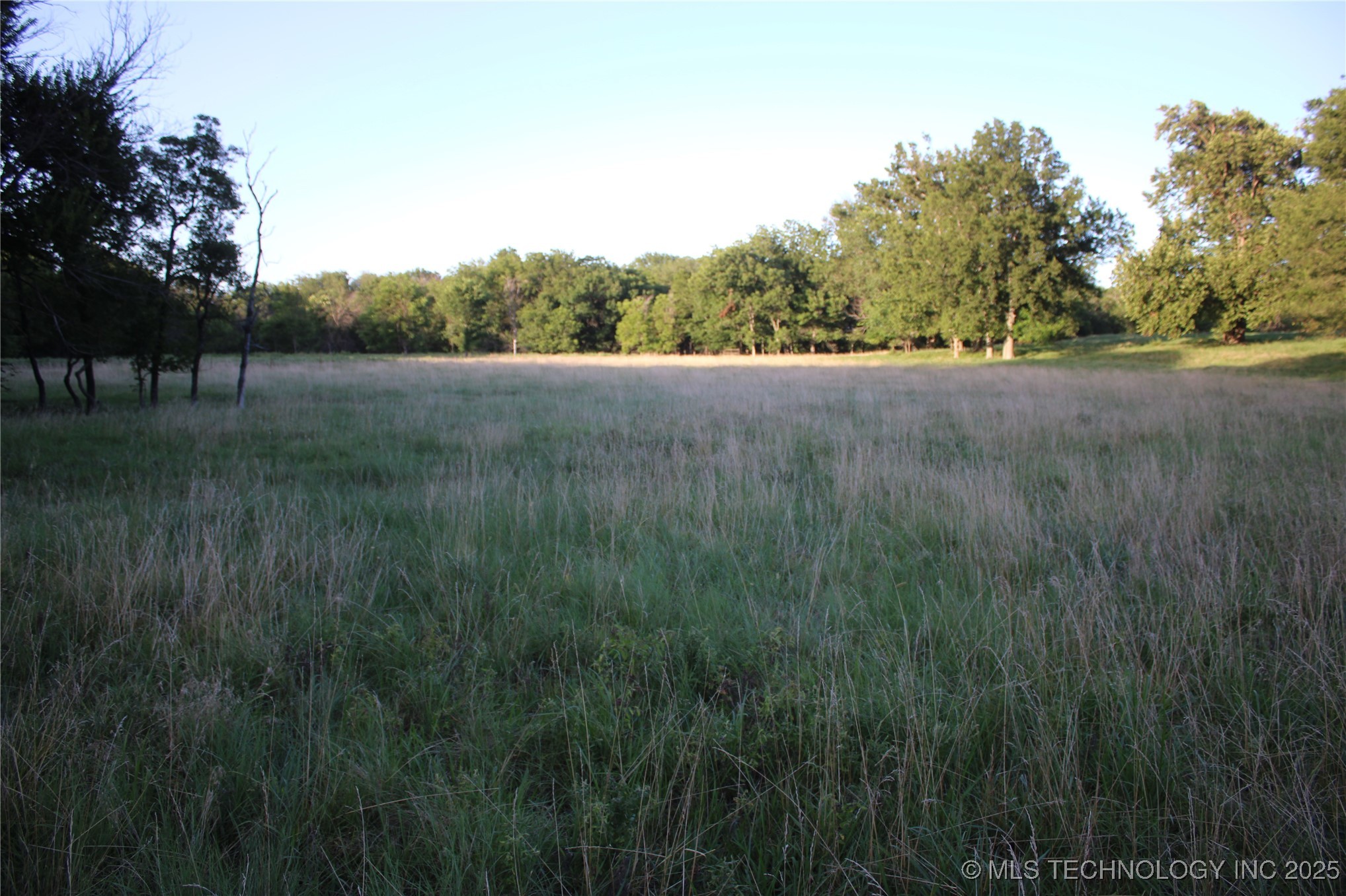 20750 Ns 410 Road Property Photo 26