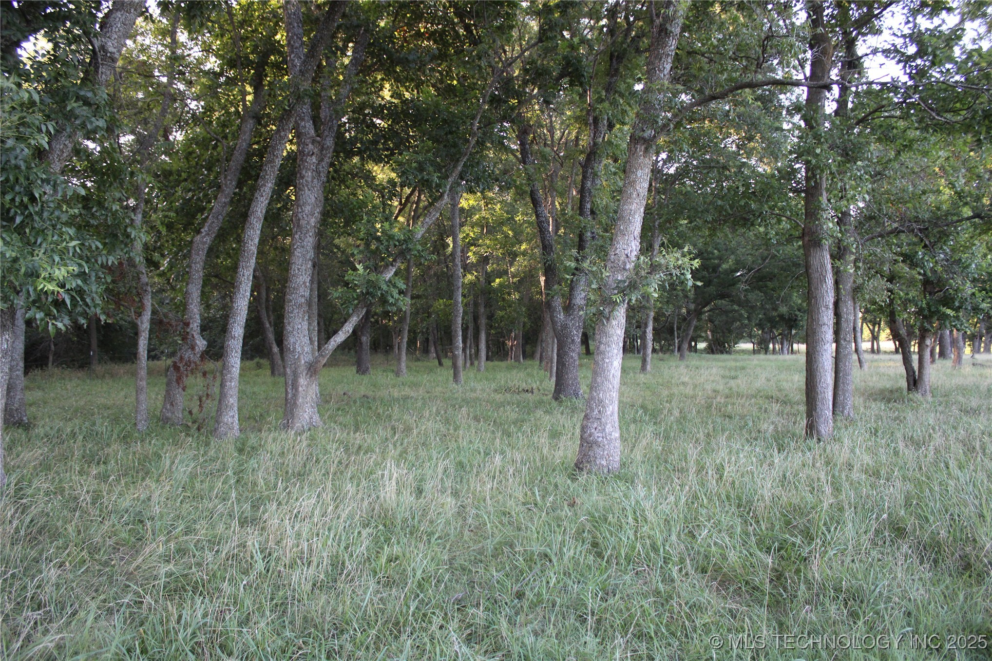 20750 Ns 410 Road Property Photo 28