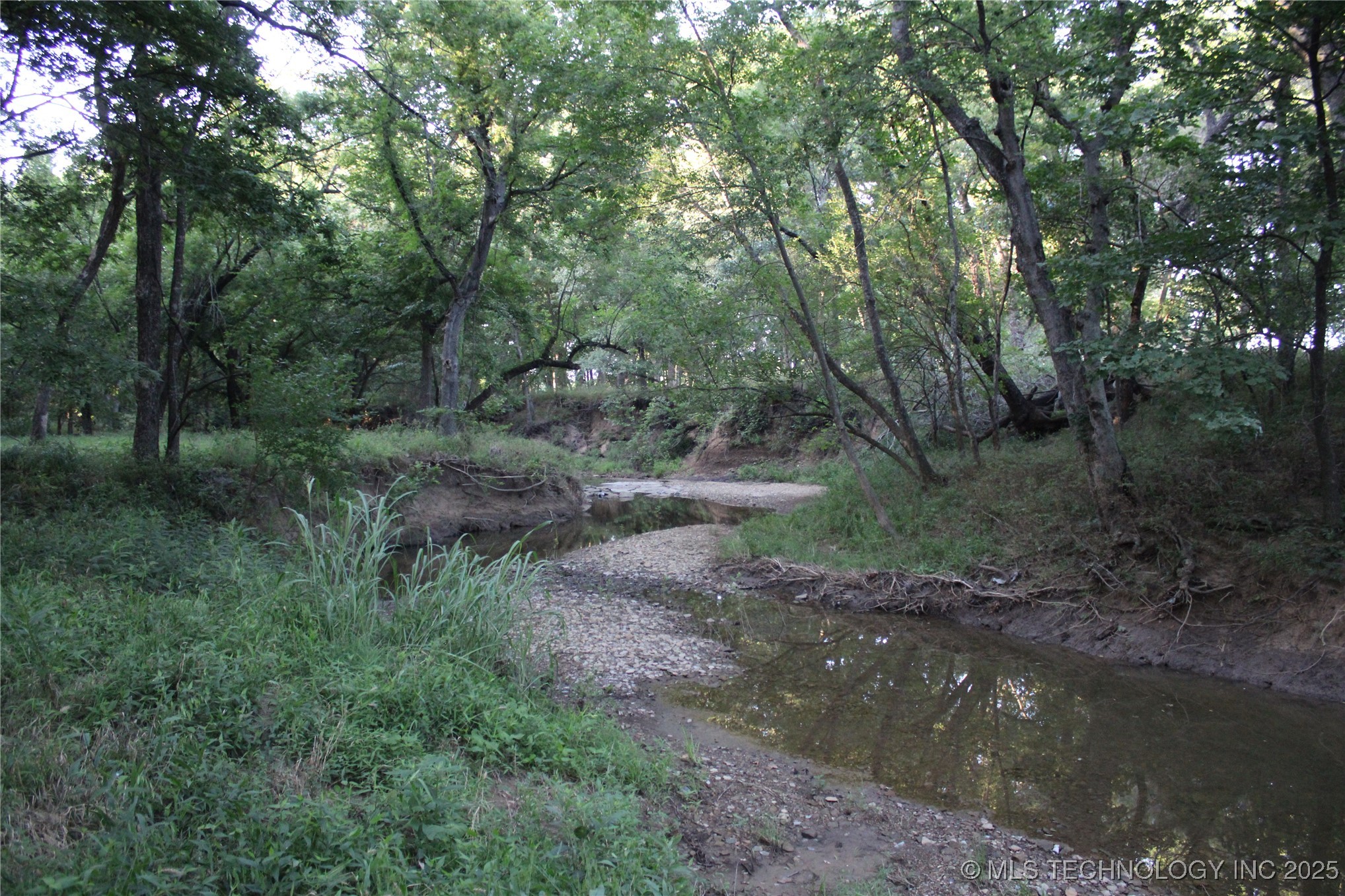 20750 Ns 410 Road Property Photo 30