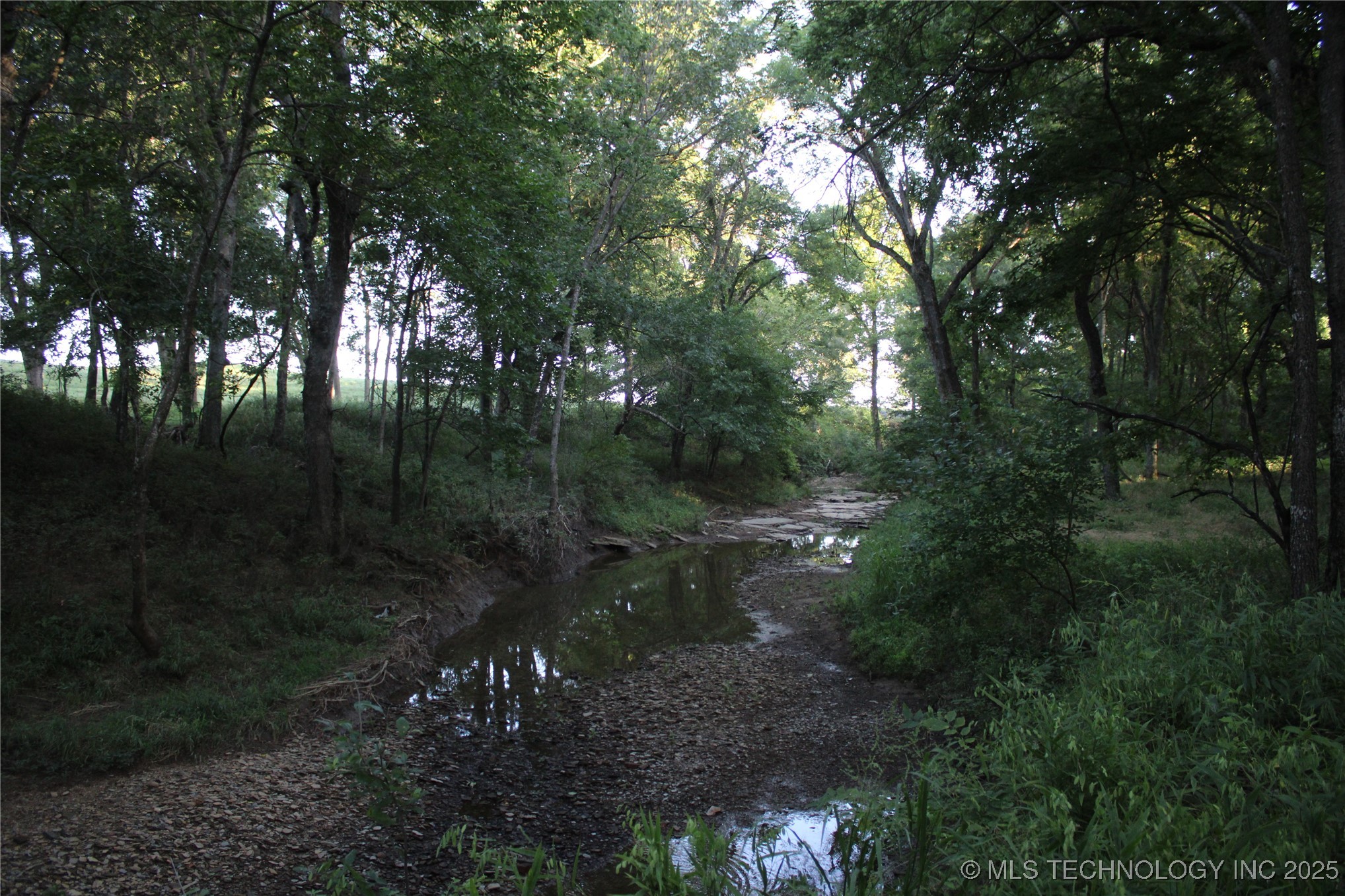 20750 Ns 410 Road Property Photo 33