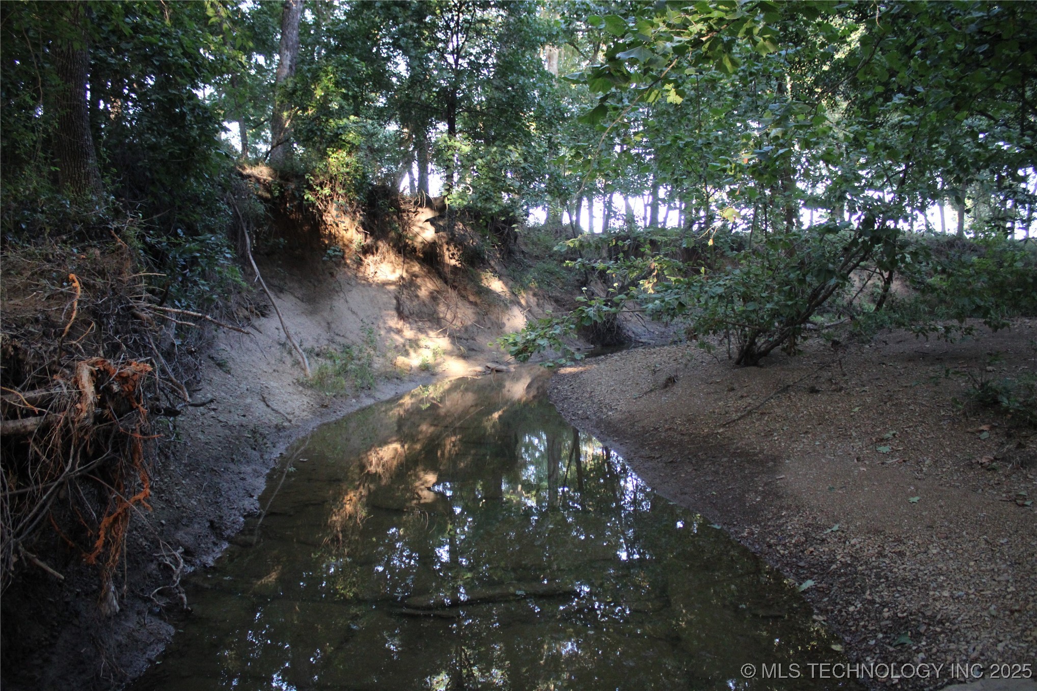 20750 Ns 410 Road Property Photo 37