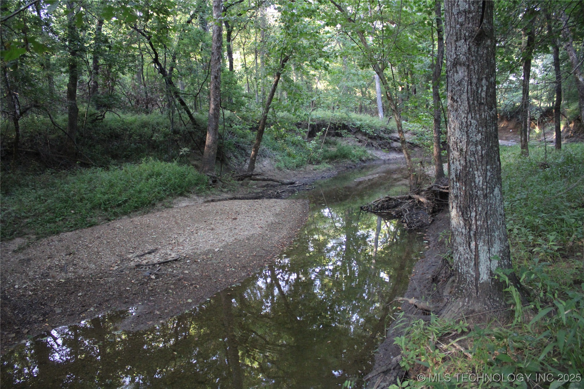 20750 Ns 410 Road Property Photo 44