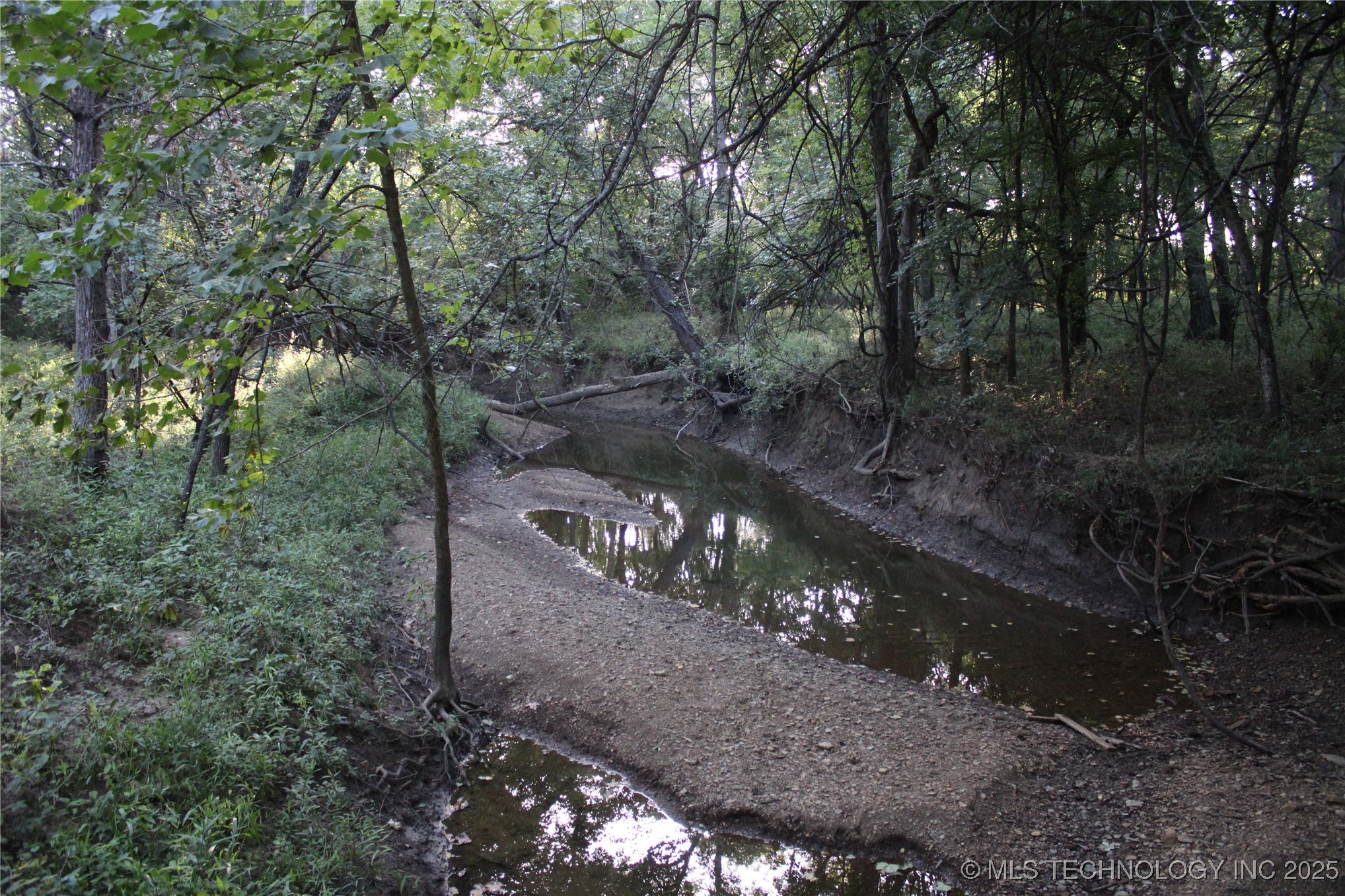 20750 Ns 410 Road Property Photo 45