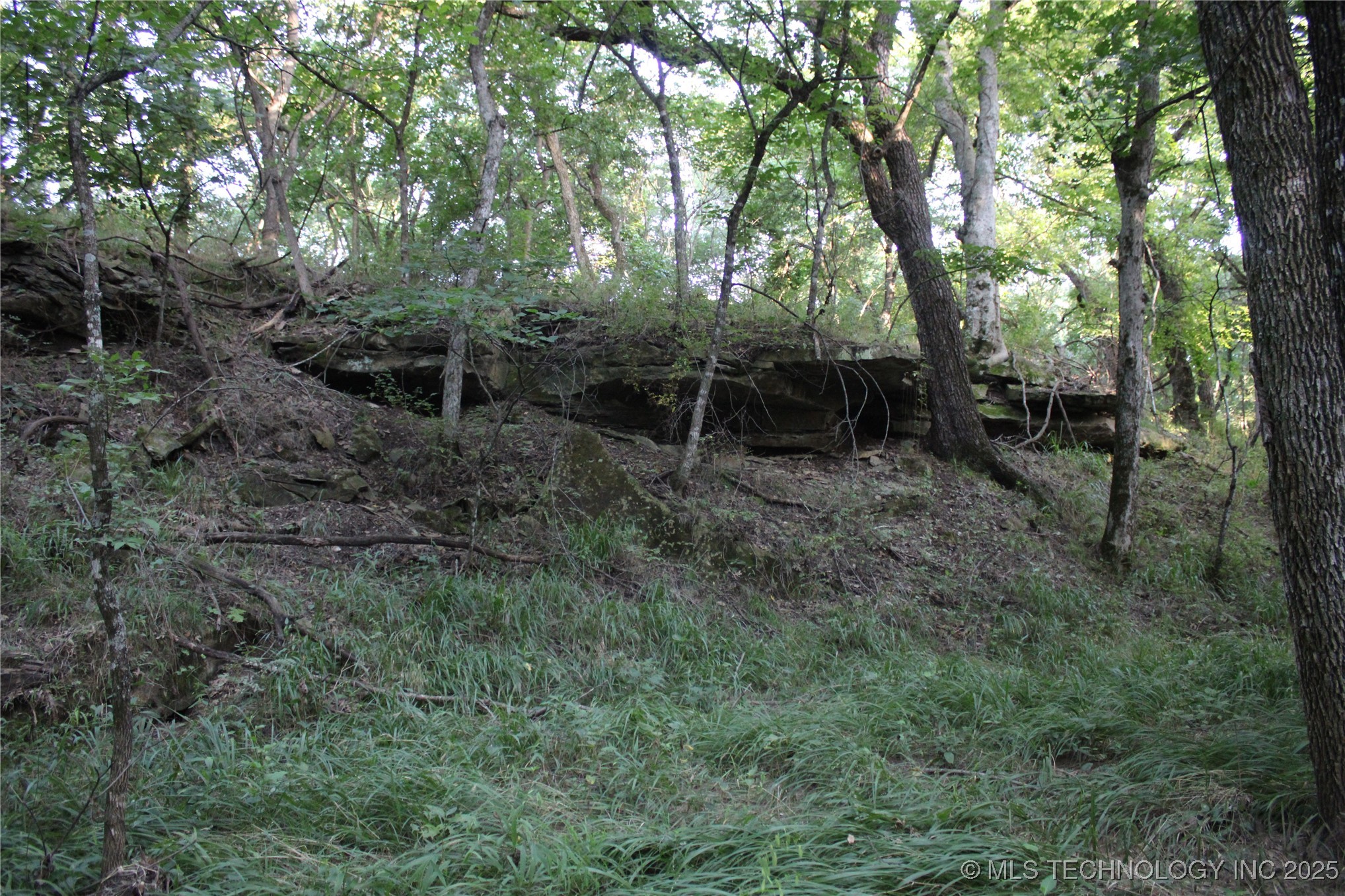 20750 Ns 410 Road Property Photo 48