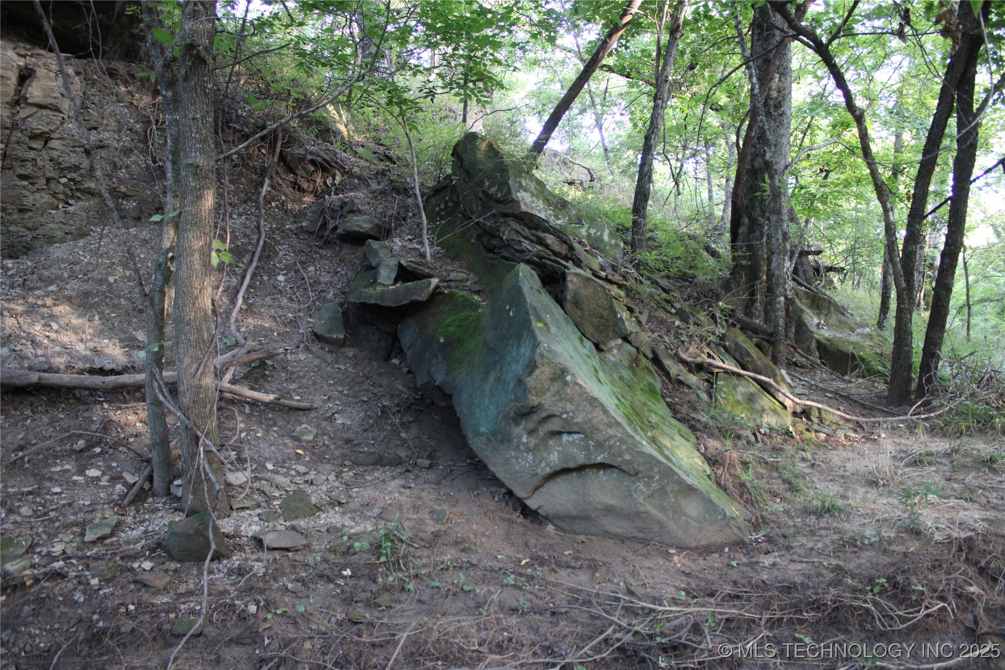 20750 Ns 410 Road Property Photo 49