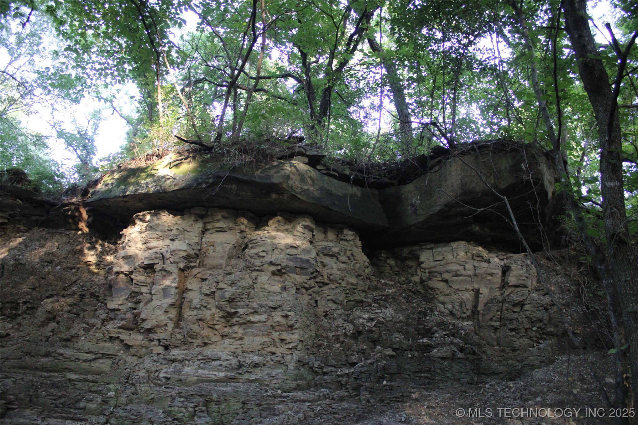 20750 Ns 410 Road Property Photo 50