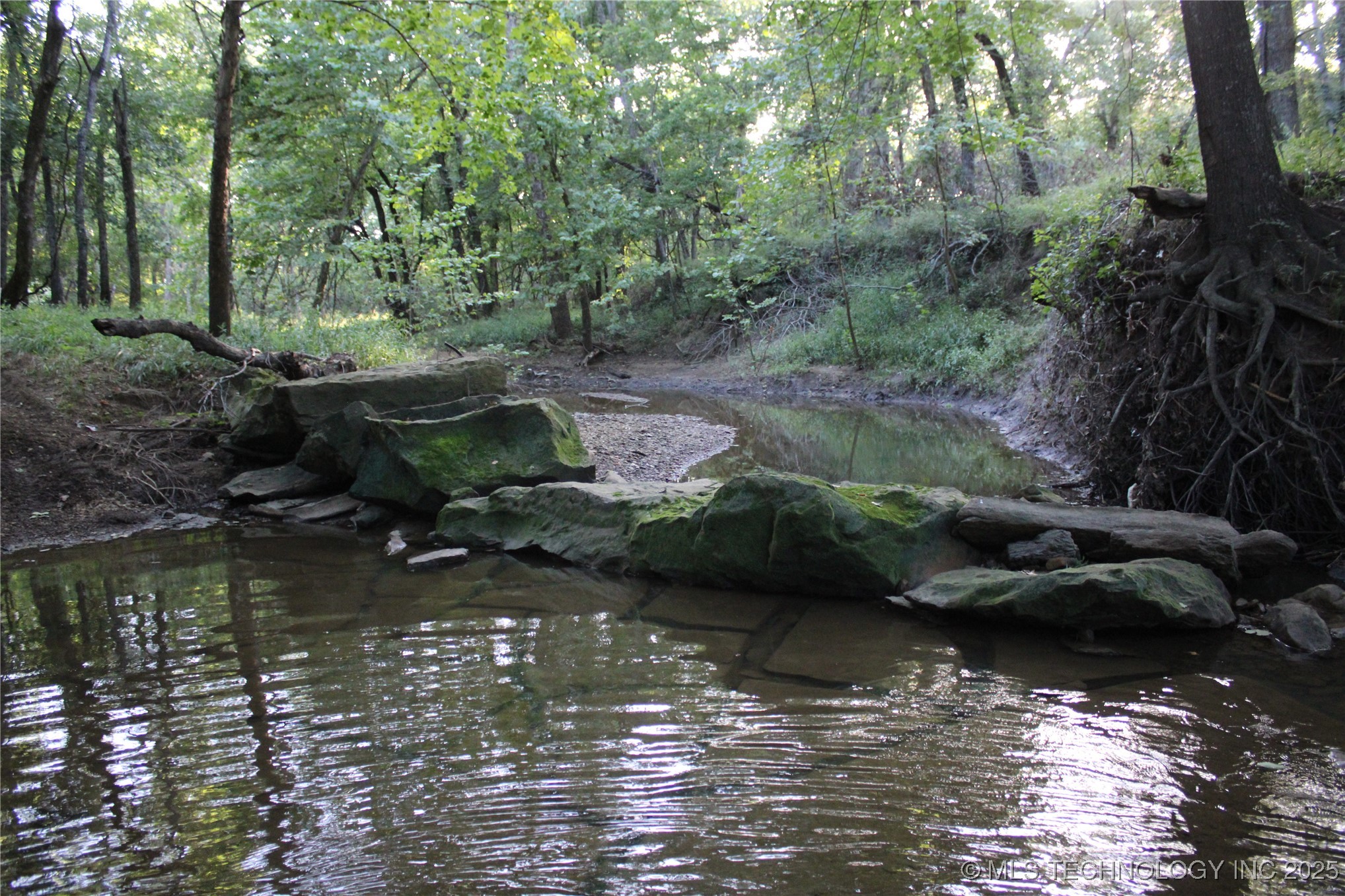 20750 Ns 410 Road Property Photo 51