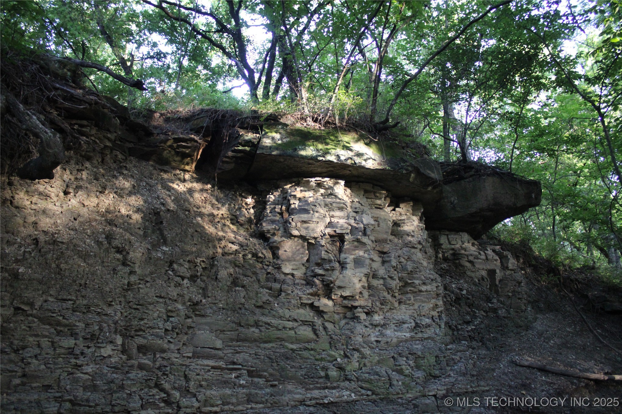 20750 Ns 410 Road Property Photo 55