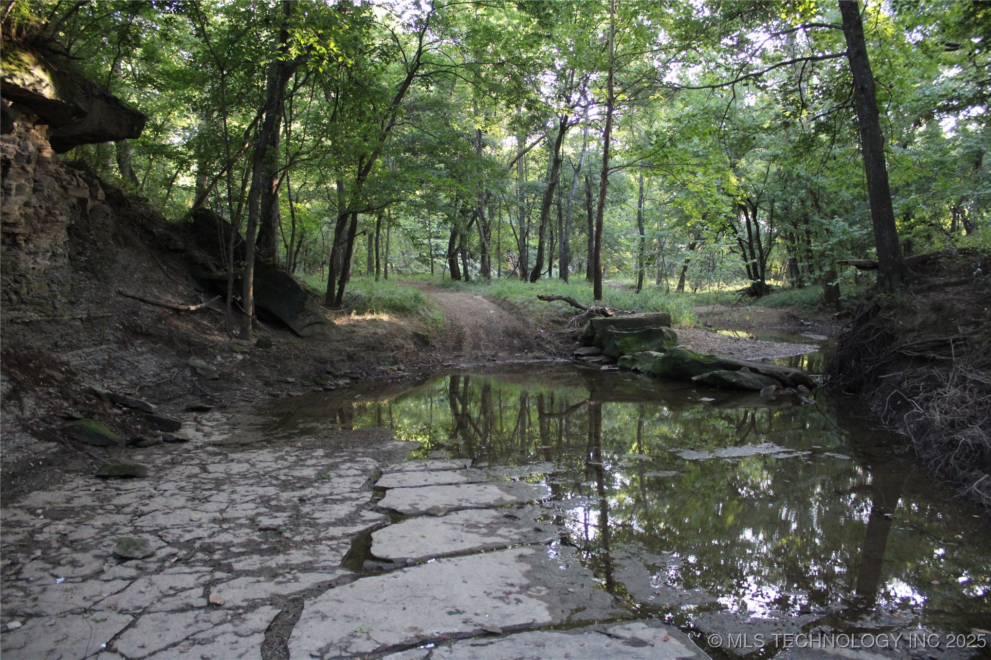 20750 Ns 410 Road Property Photo 56